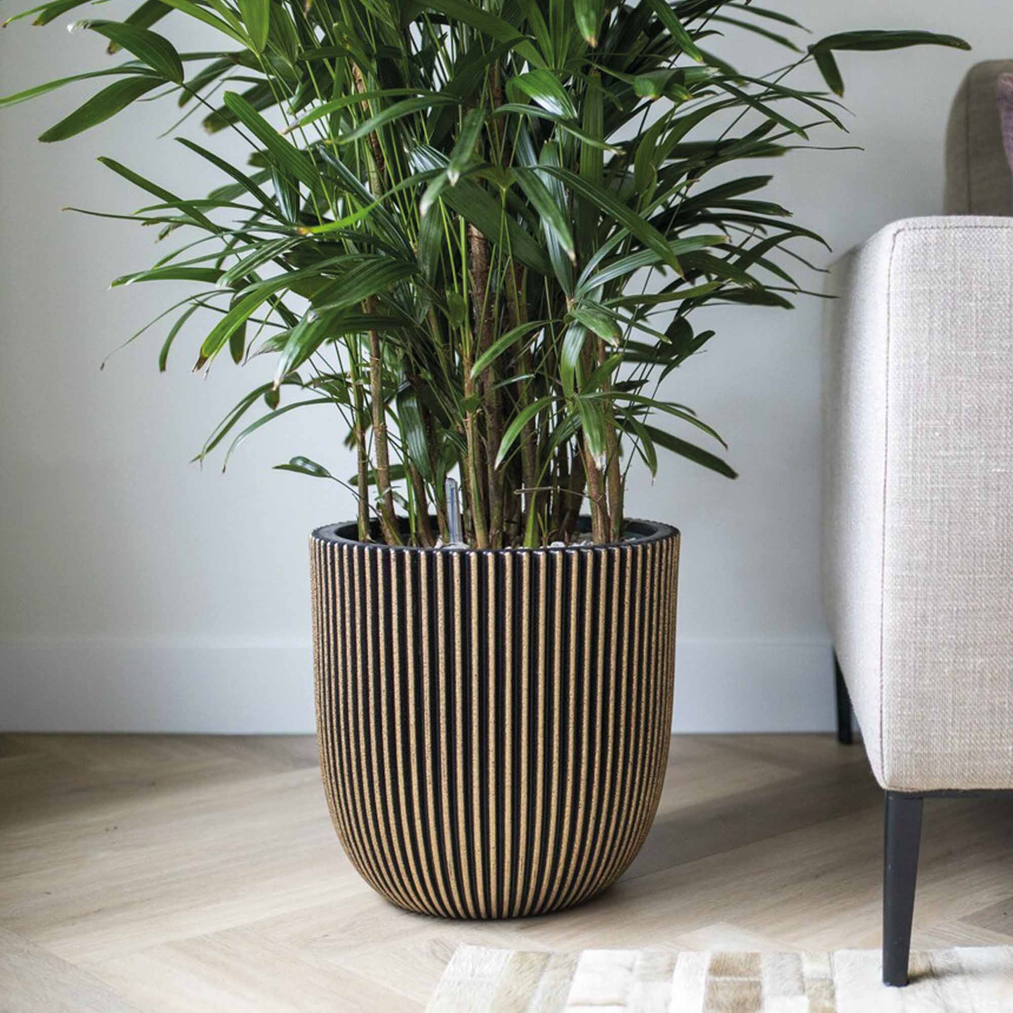 6ec7a91f1ea0a7759970fefc22421dbc.jpg d8d5669c5ab4b5d4c63b4e769d38895c