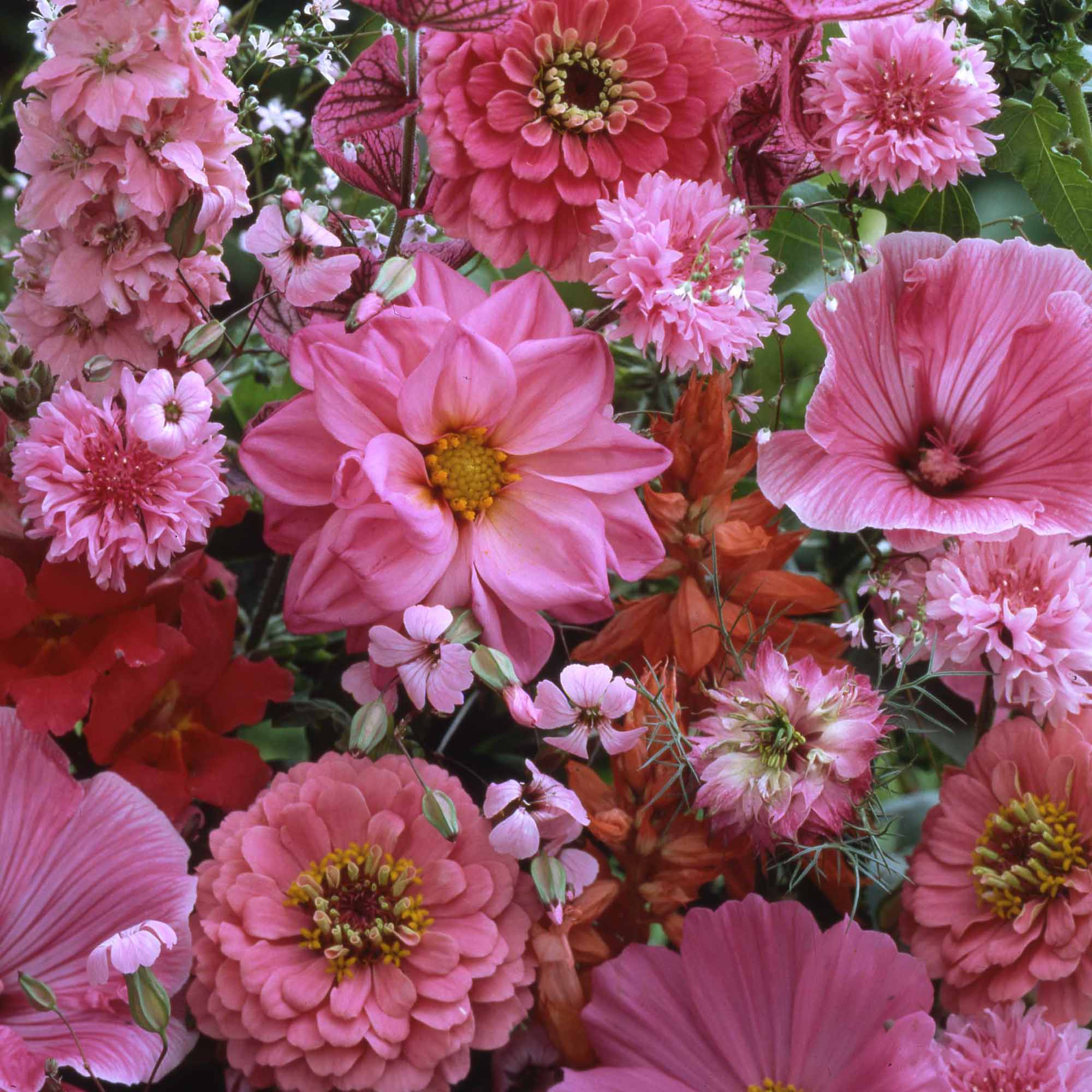 6f19ae743d09c9a7282445f26c865094.jpg 7bb681efbcf7d15c961d0317bebcddb8