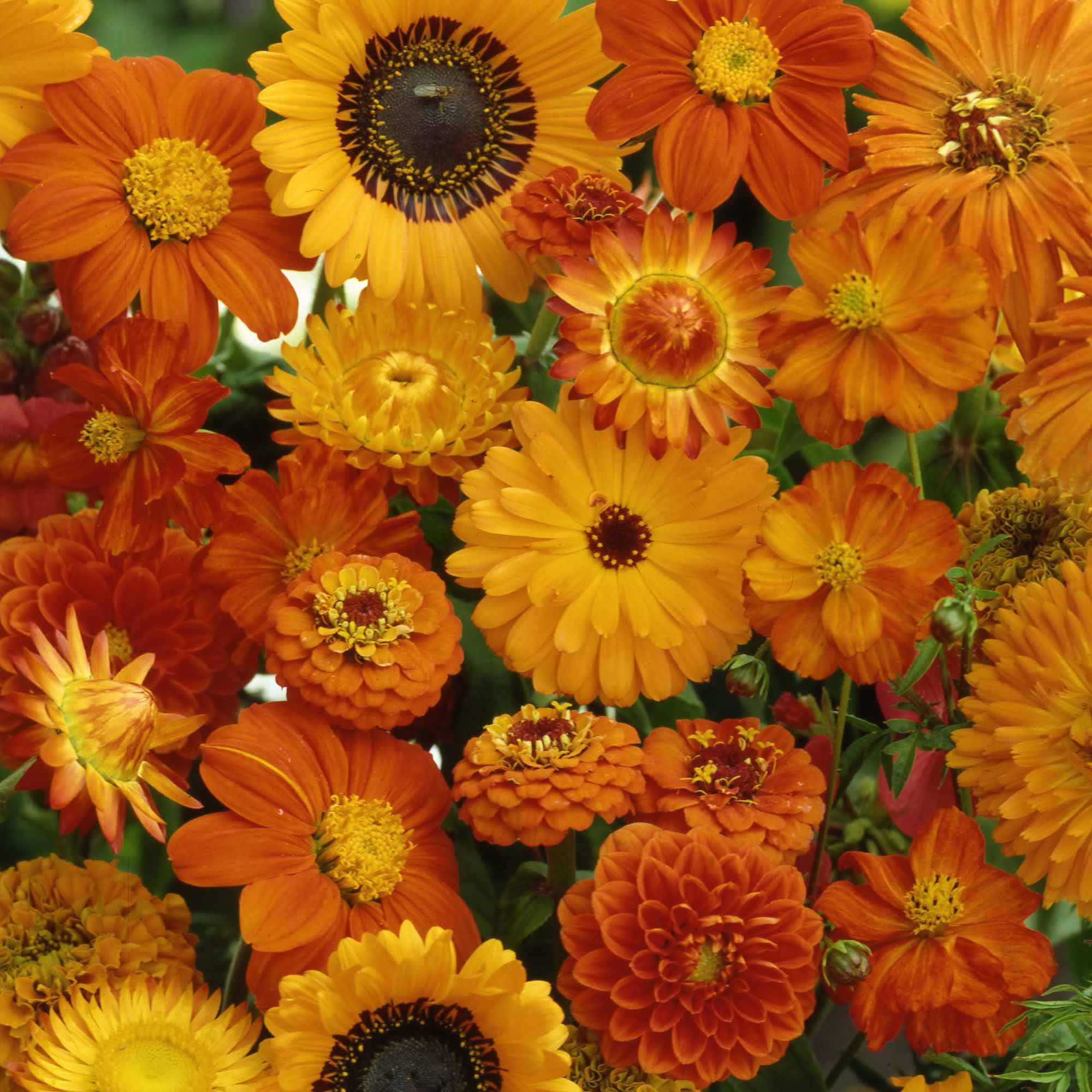 12ee4cece296ea4f73f2269573e9cdb0