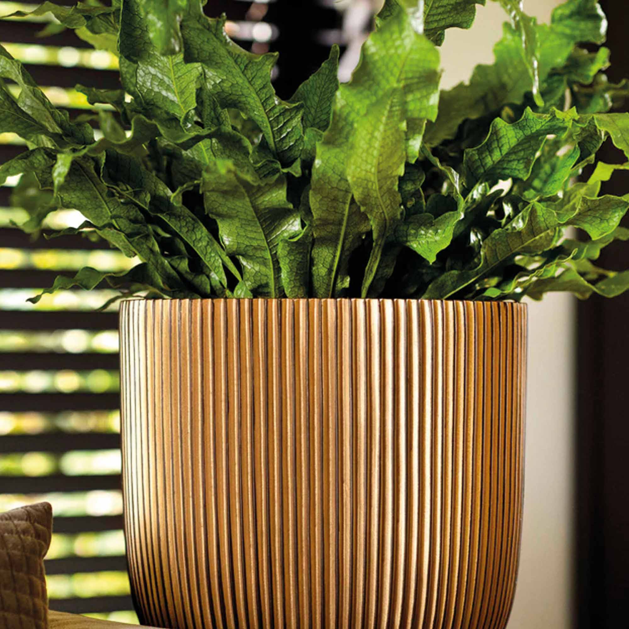 727b9ffb7758e89fb653e7a1dc33ea83.jpg 1a41e3778ef6ccaed69714cd0c7d5826