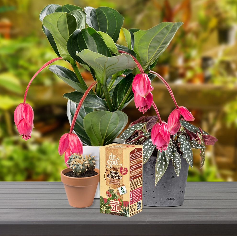 a23a3c5713e1146fc5292412041f8d0a