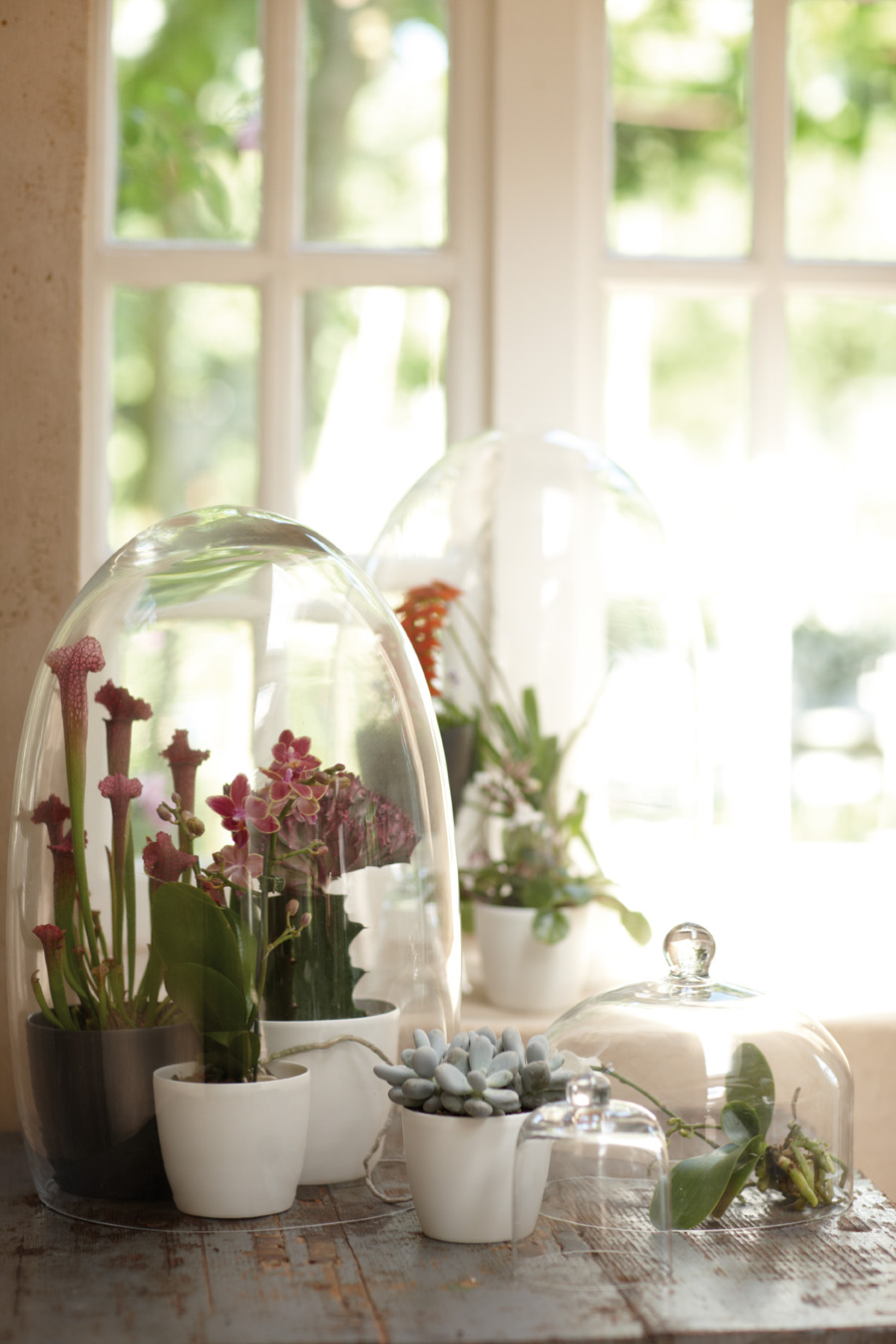 79a4f28730988f6ed6782506ef7cd18e.jpg 9cba2af726b03556ccb83ae5aae2434b