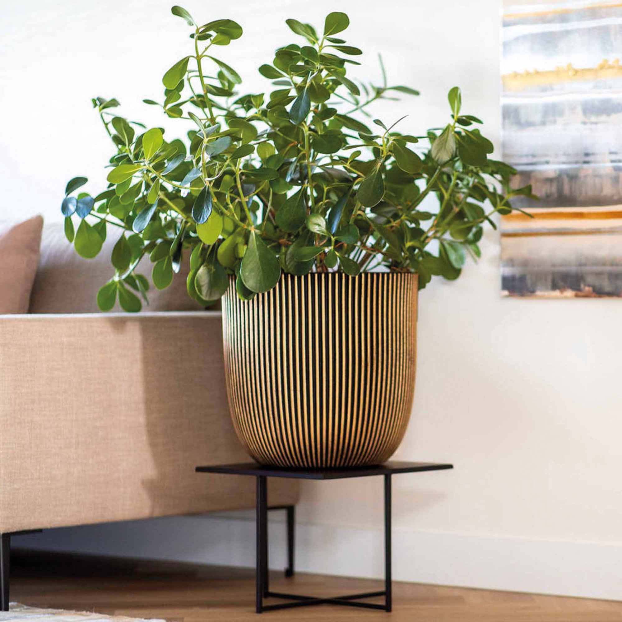 7c0363a92f34d90d57e03c29be6f2f63.jpg 11d0446e702a0763ae6aad32f8592e28