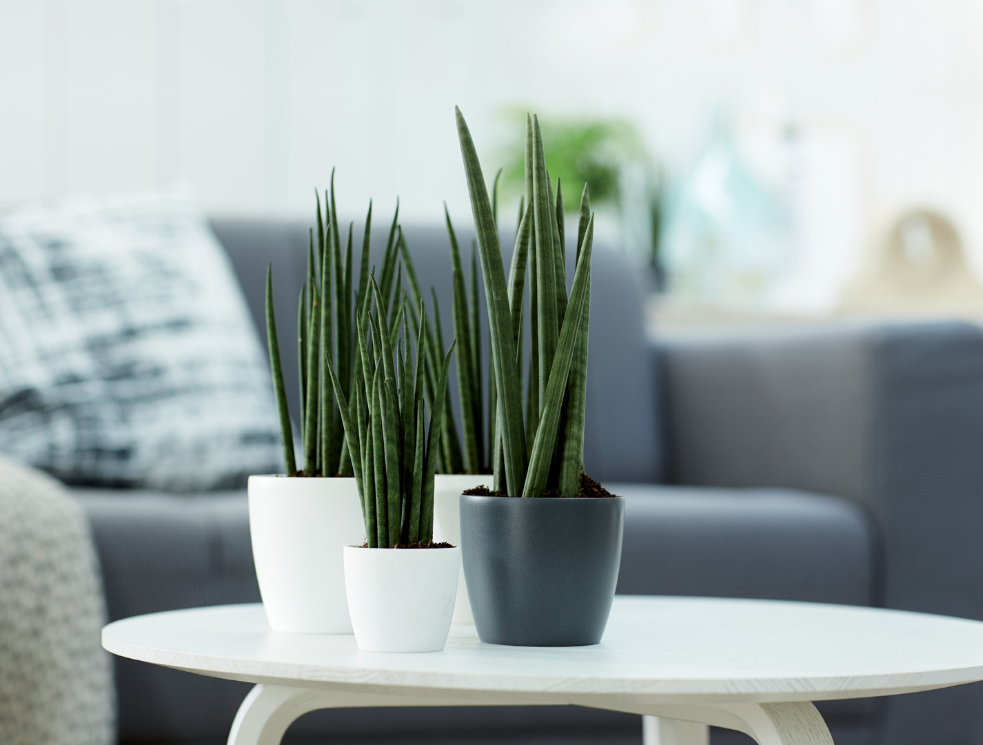 7ca65ac8c0981b01f21e7c6f89ff21a2.jpg 3f459bba686000e473b11856ee4cfa30