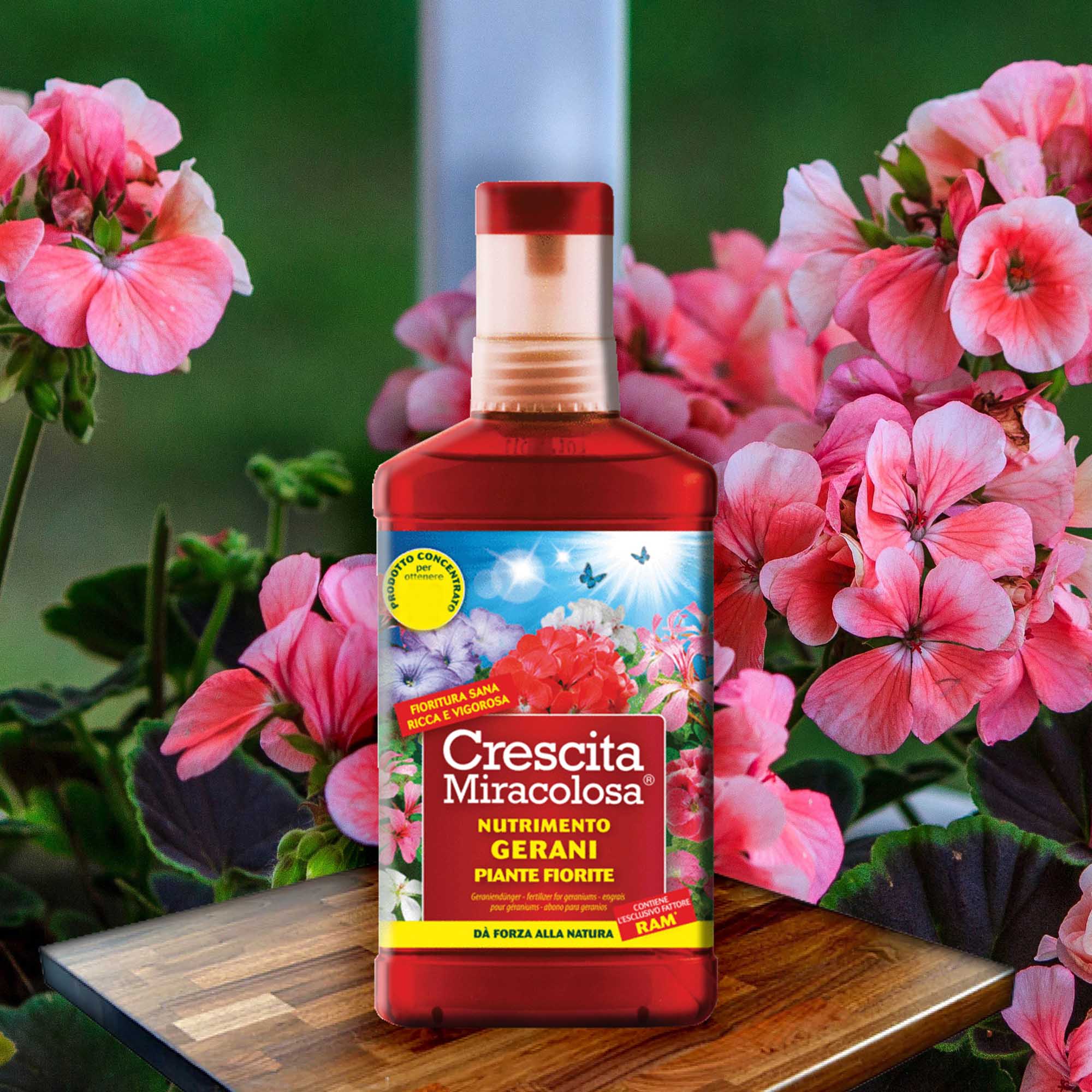 c0459dd4ba0c616201504a578847ccaf