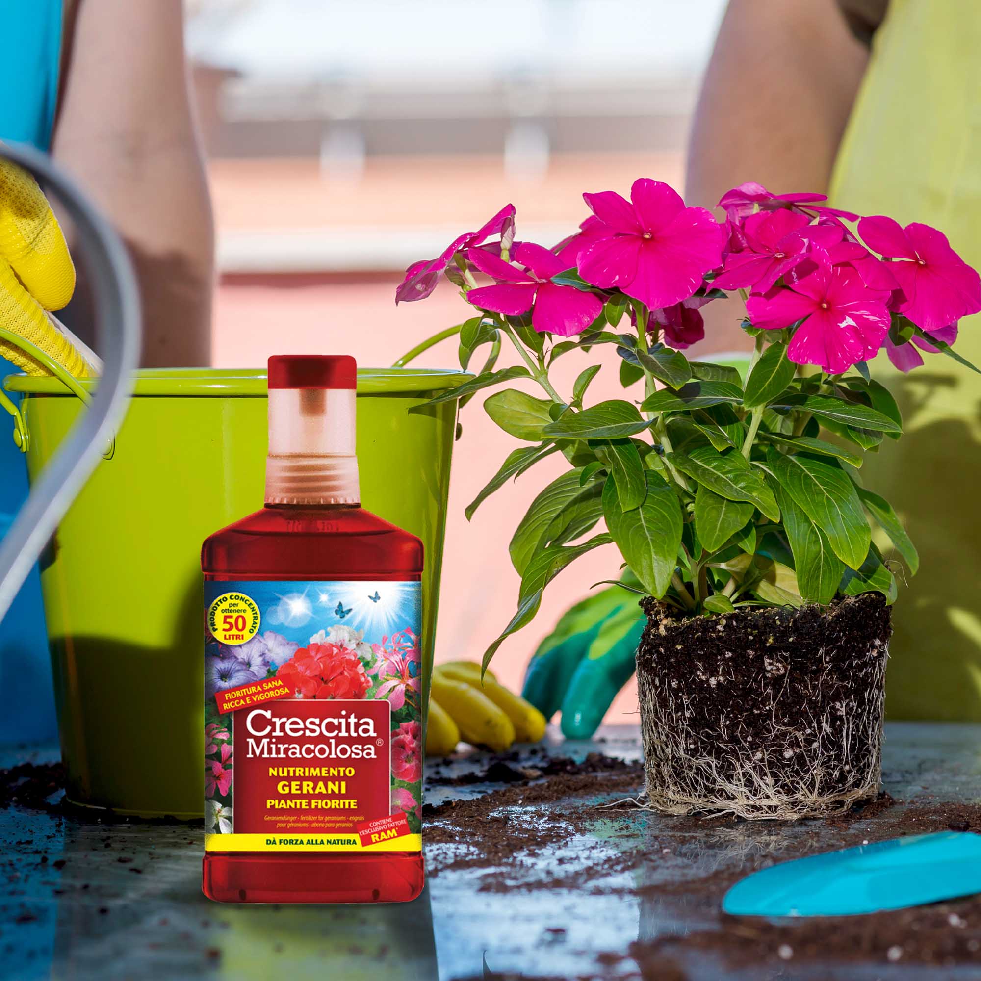 e07cbea1a62550ff817d3d0b2df8b959