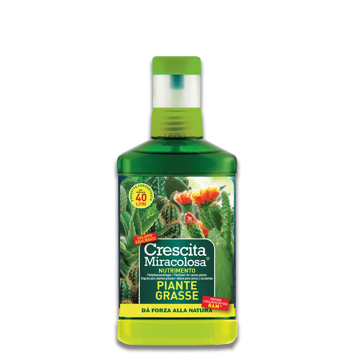 Crescita Miracolosa Ingrasamant lichid pentru Cactusi si suculente 200 ml