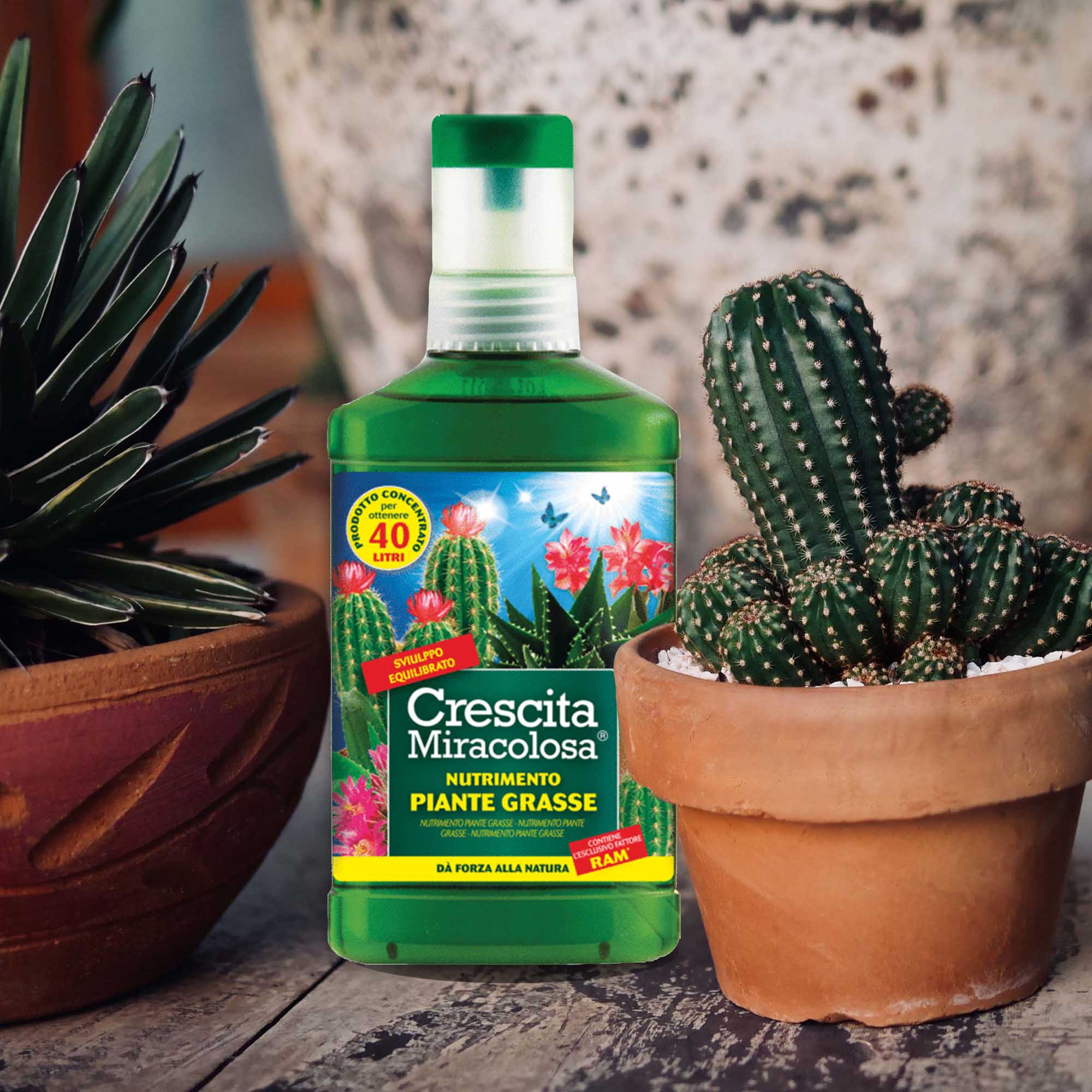 8006933047756_2.jpg df03ccda710ed56c6a47f970e6a79795