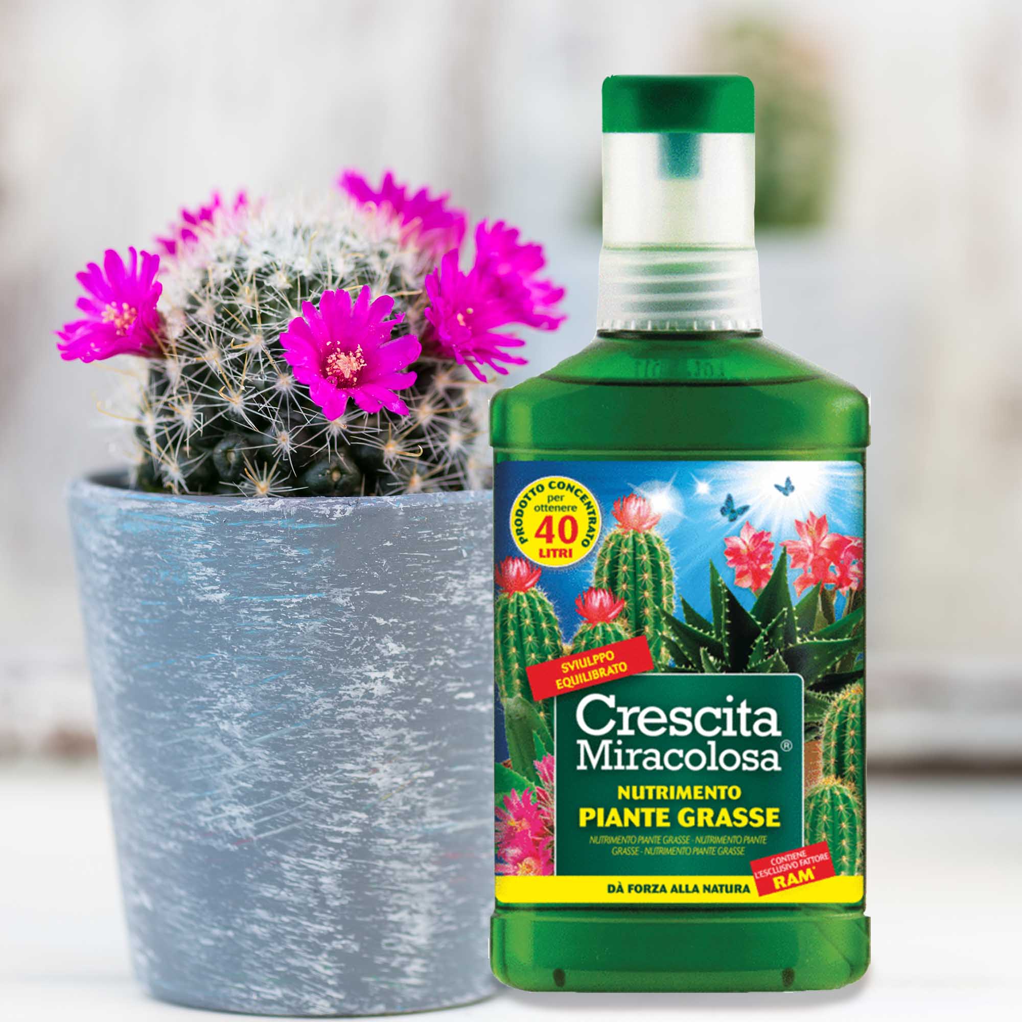 8006933047756_3.jpg 3d43552e62055f54b801bb58ff780ec3