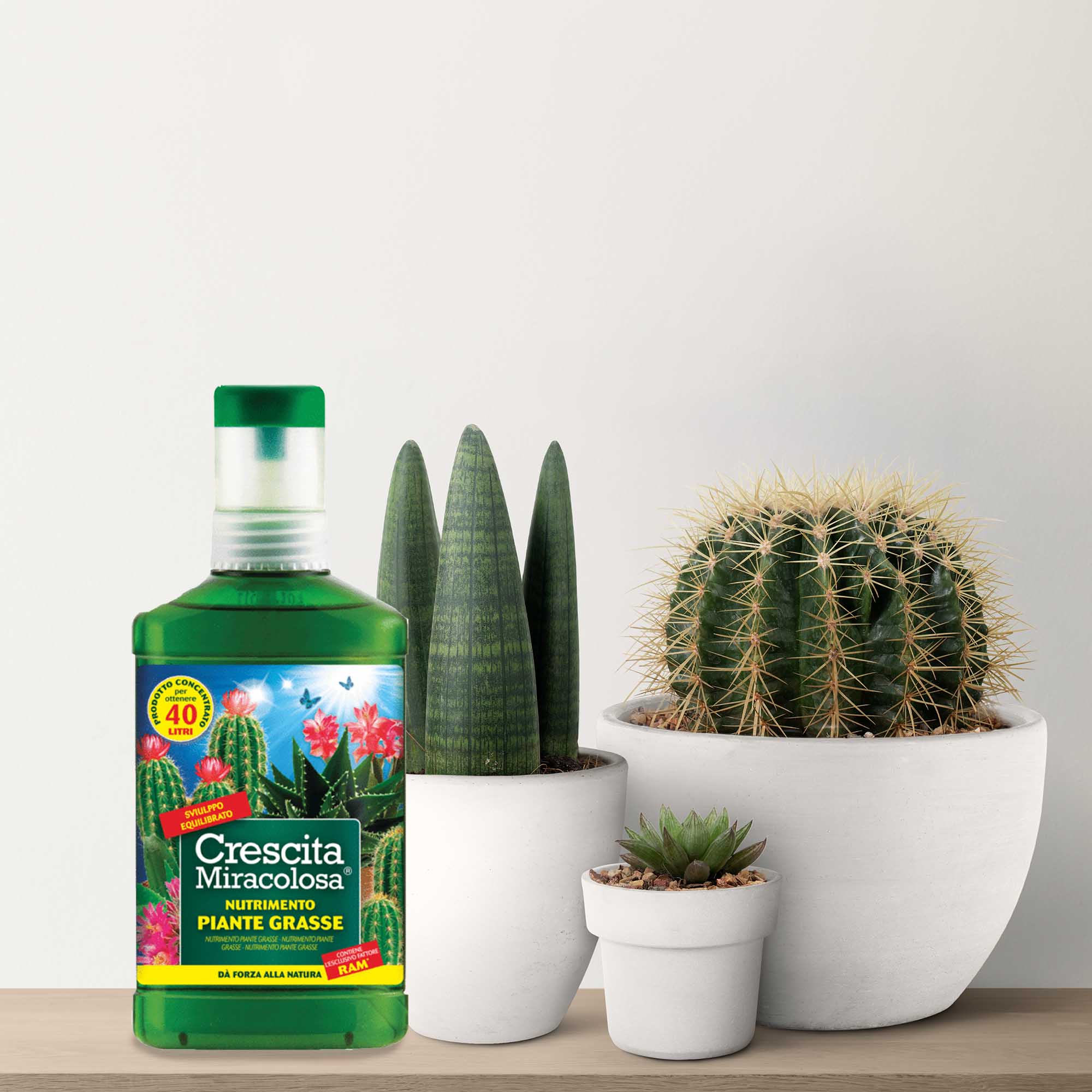 8006933047756_4.jpg 1a8ae5484ef950fc0e05c53284e4a7f3