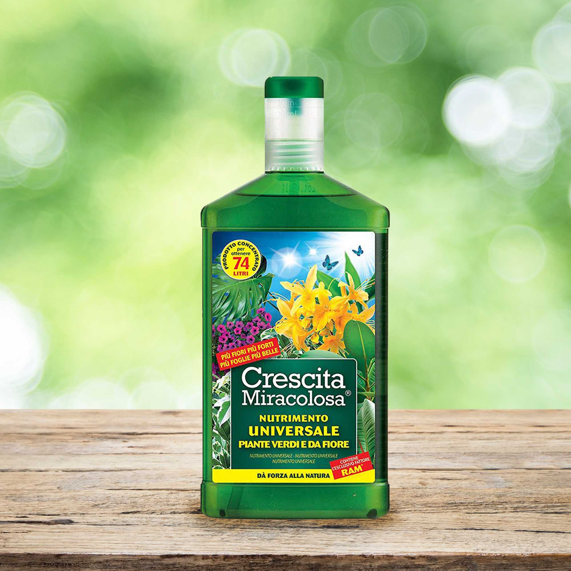 bbab9219926dcedde3384a3f5bd351ae