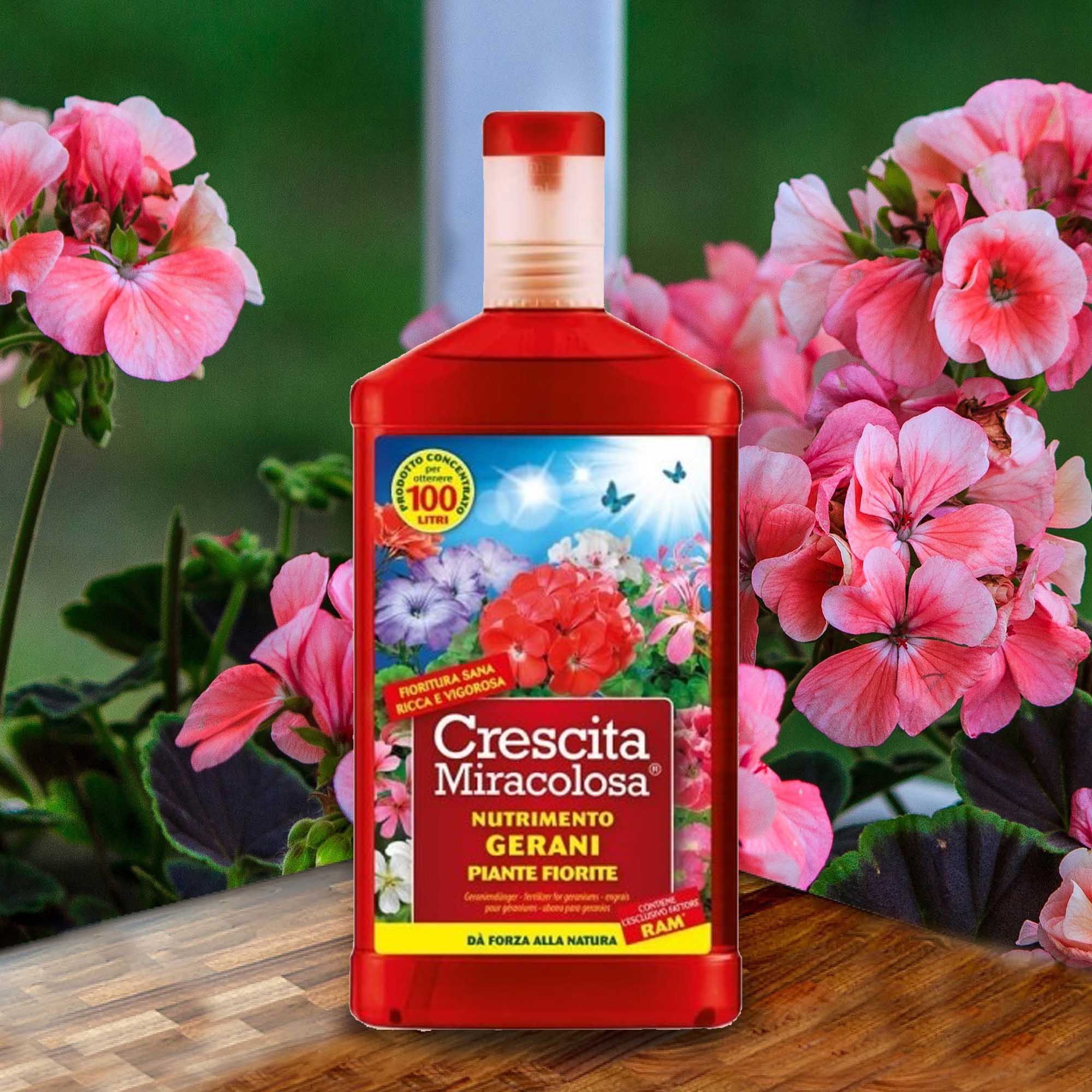 8006933047800_1.jpg aec19eebdda4a8b6ab6cda2f82502113