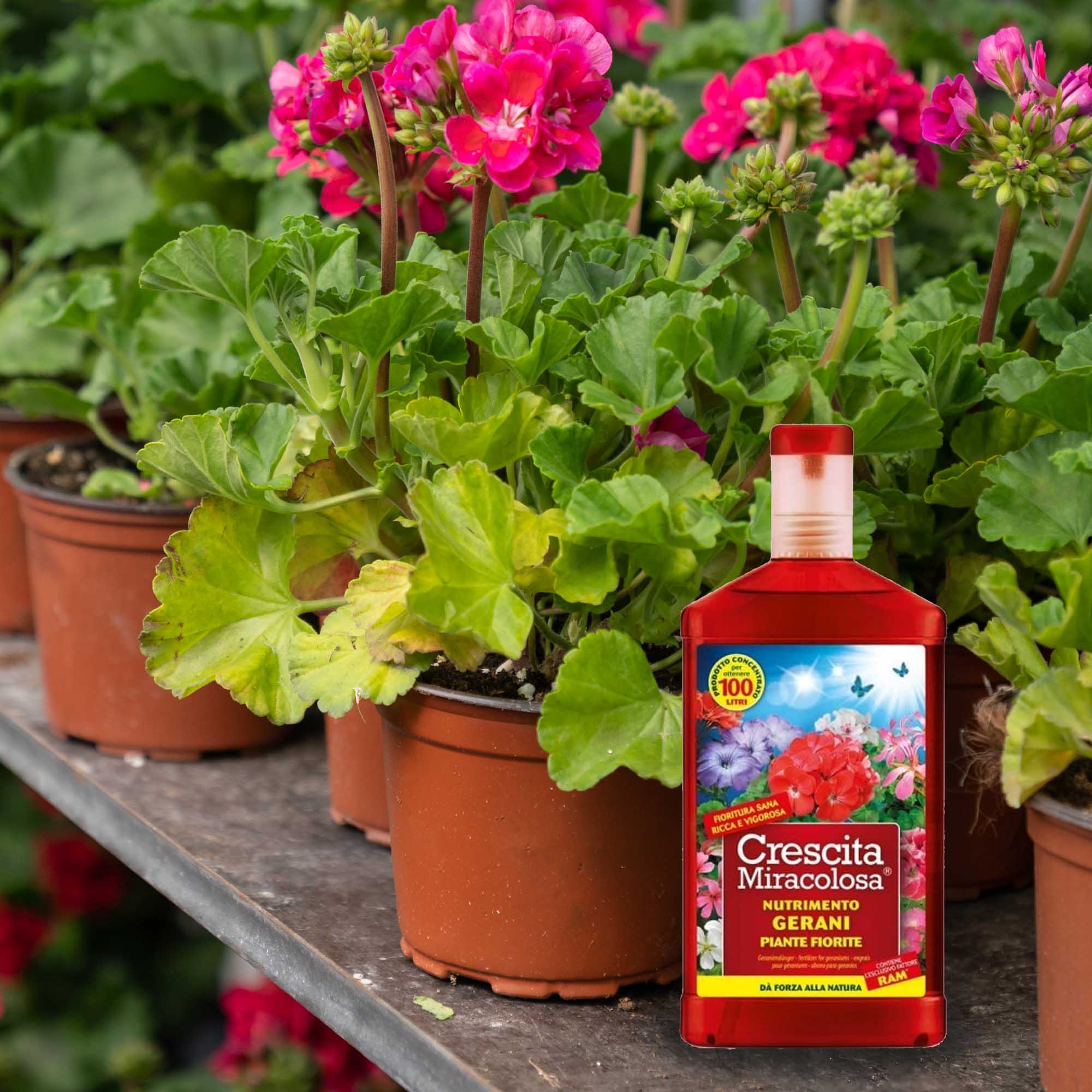 8006933047800_3.jpg 3f01c299675023bc6024169144eb8870