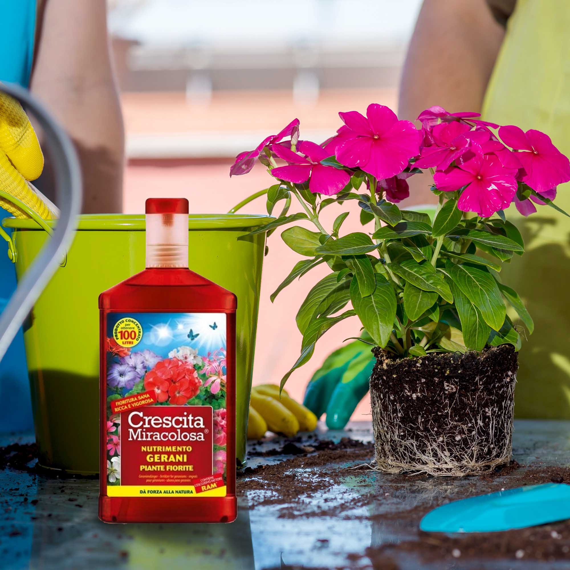 8006933047800_4.jpg deeae6bfbb03b7c761aefe424062f6d0