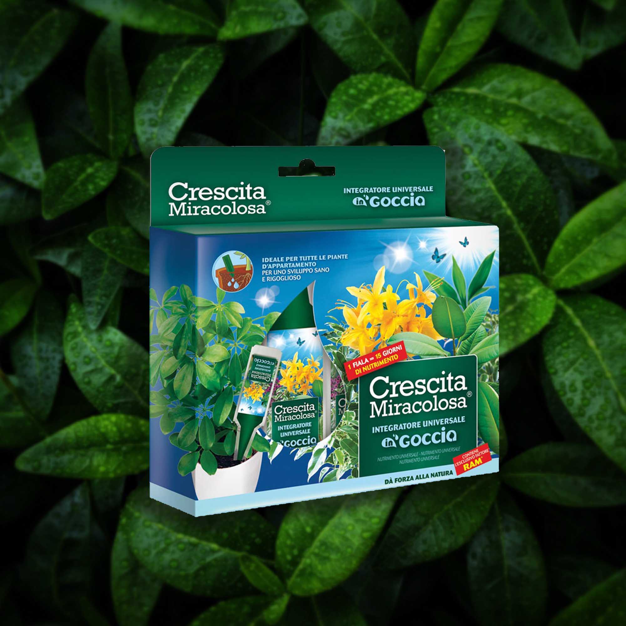 fcde018993eeeee18d380e9d8facc8e8