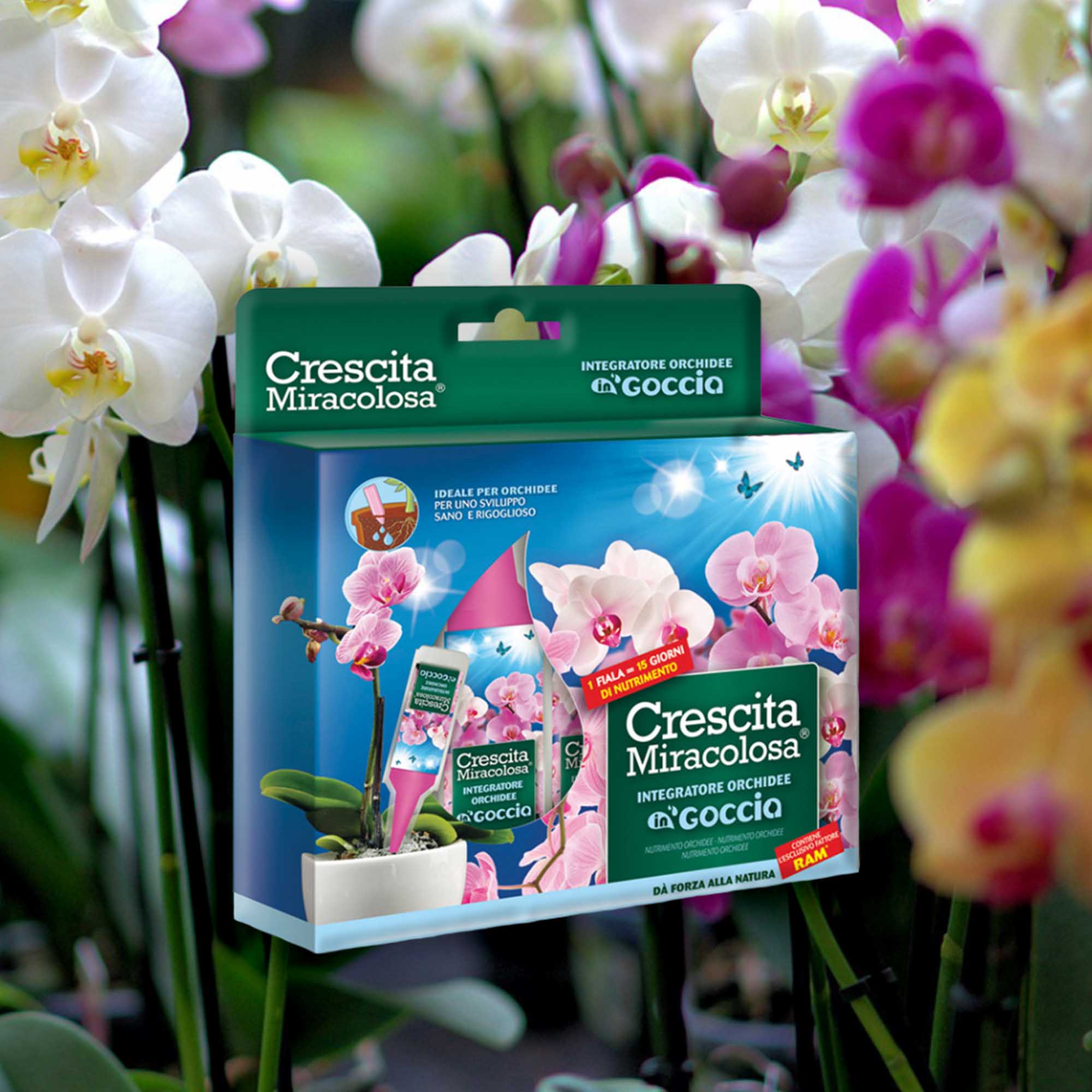 10ab3321066ce5c94d9c309ad7e79409