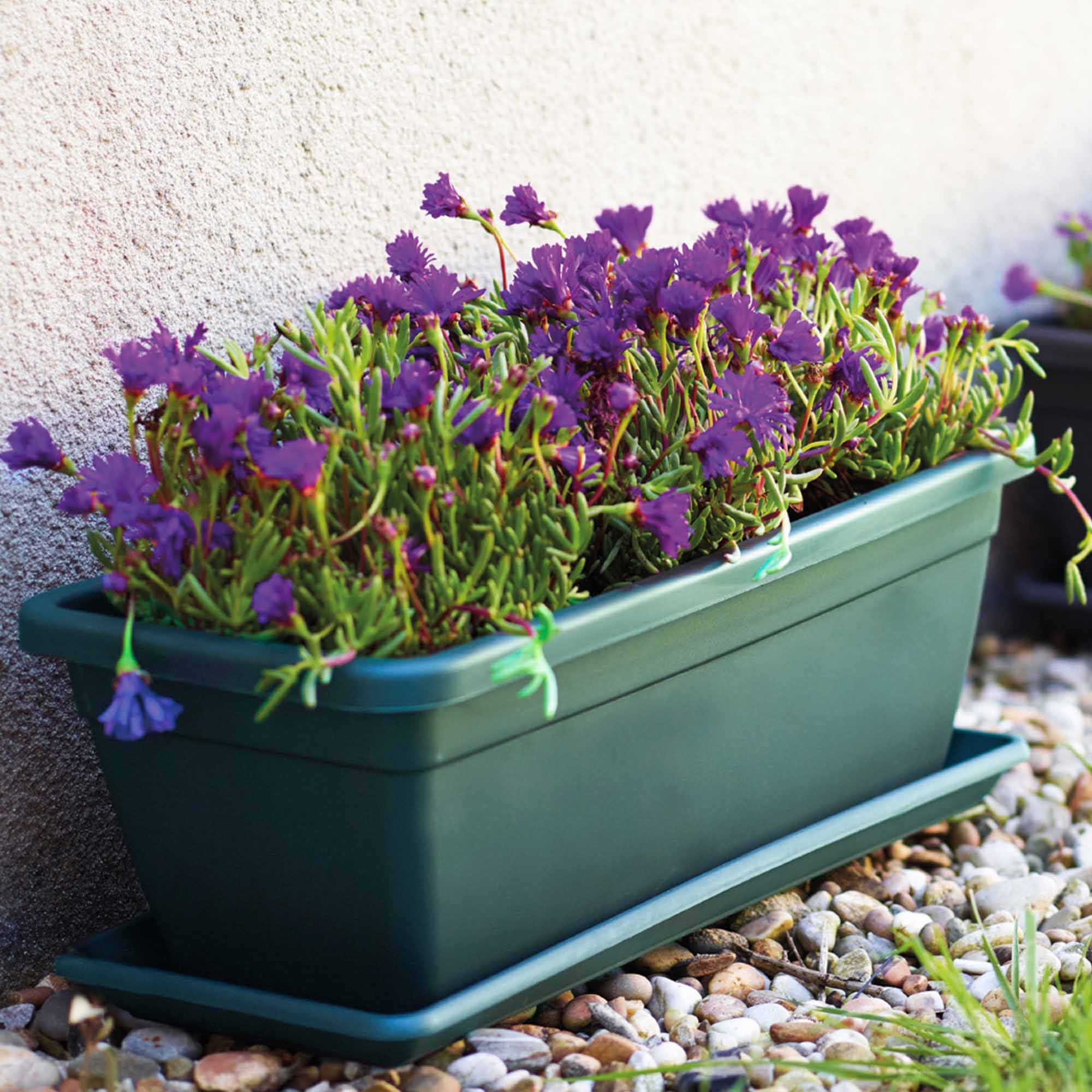 85ccefc5e471c97a8cc2fbf67e249133.jpg e9310634967e32eb9f75ca4629ea00d9