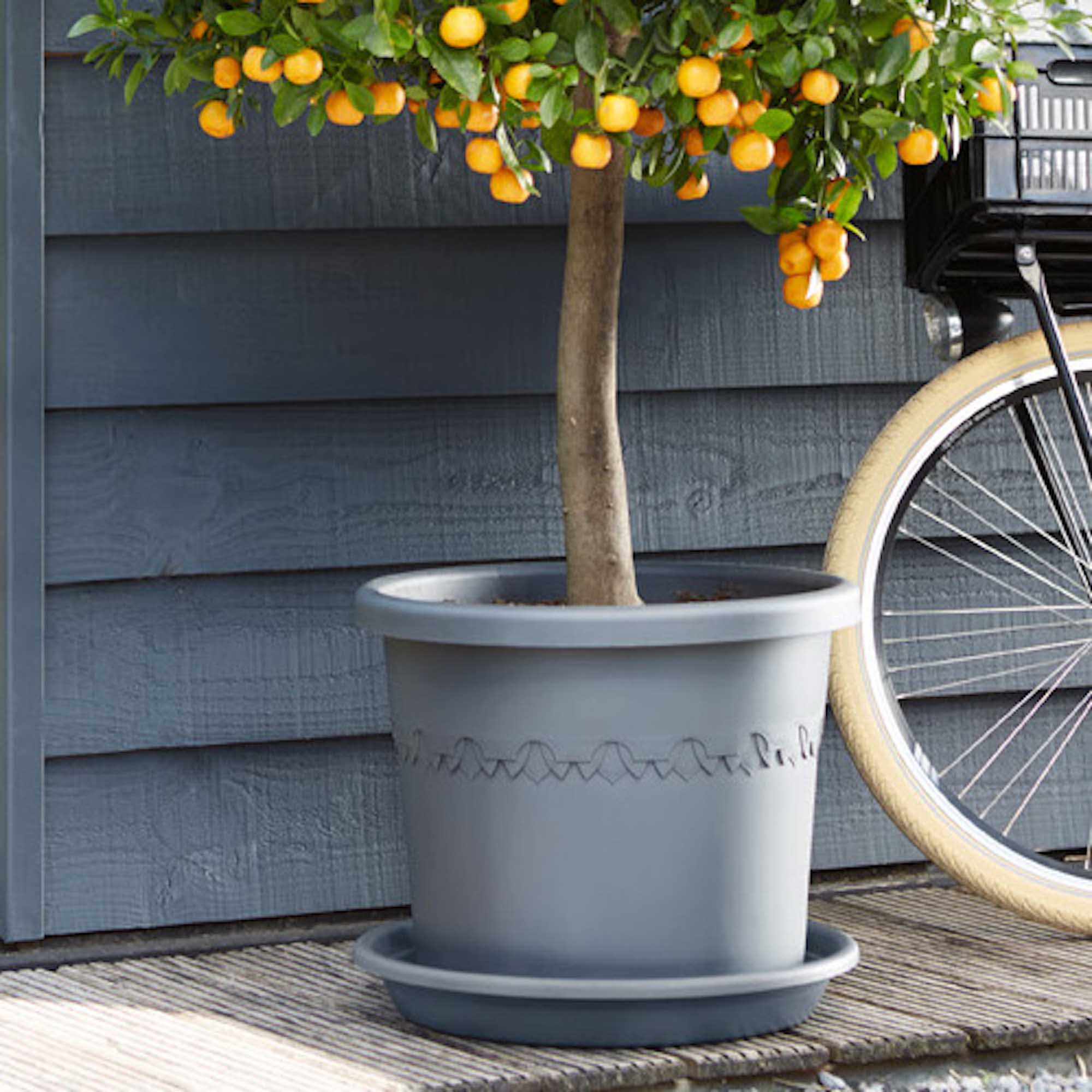 8711904106096_2.jpg 7a0098cf20cc99cc6853d7b0a97f47b1