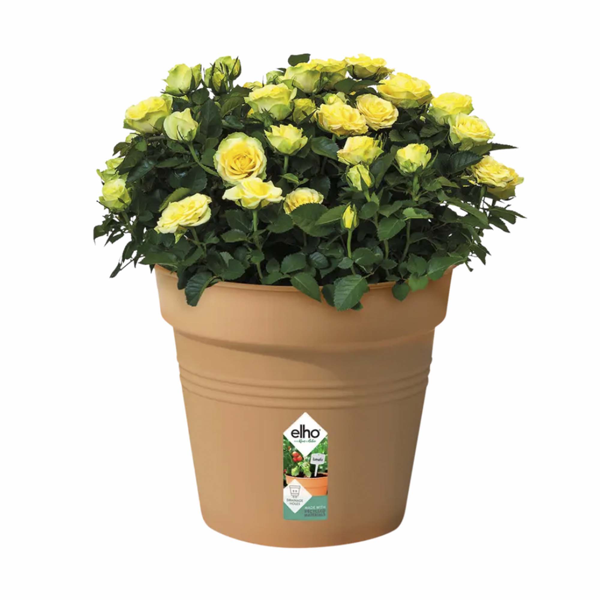 8711904106454_1.jpg aec48f9179ba2baa5544c06502e251c7