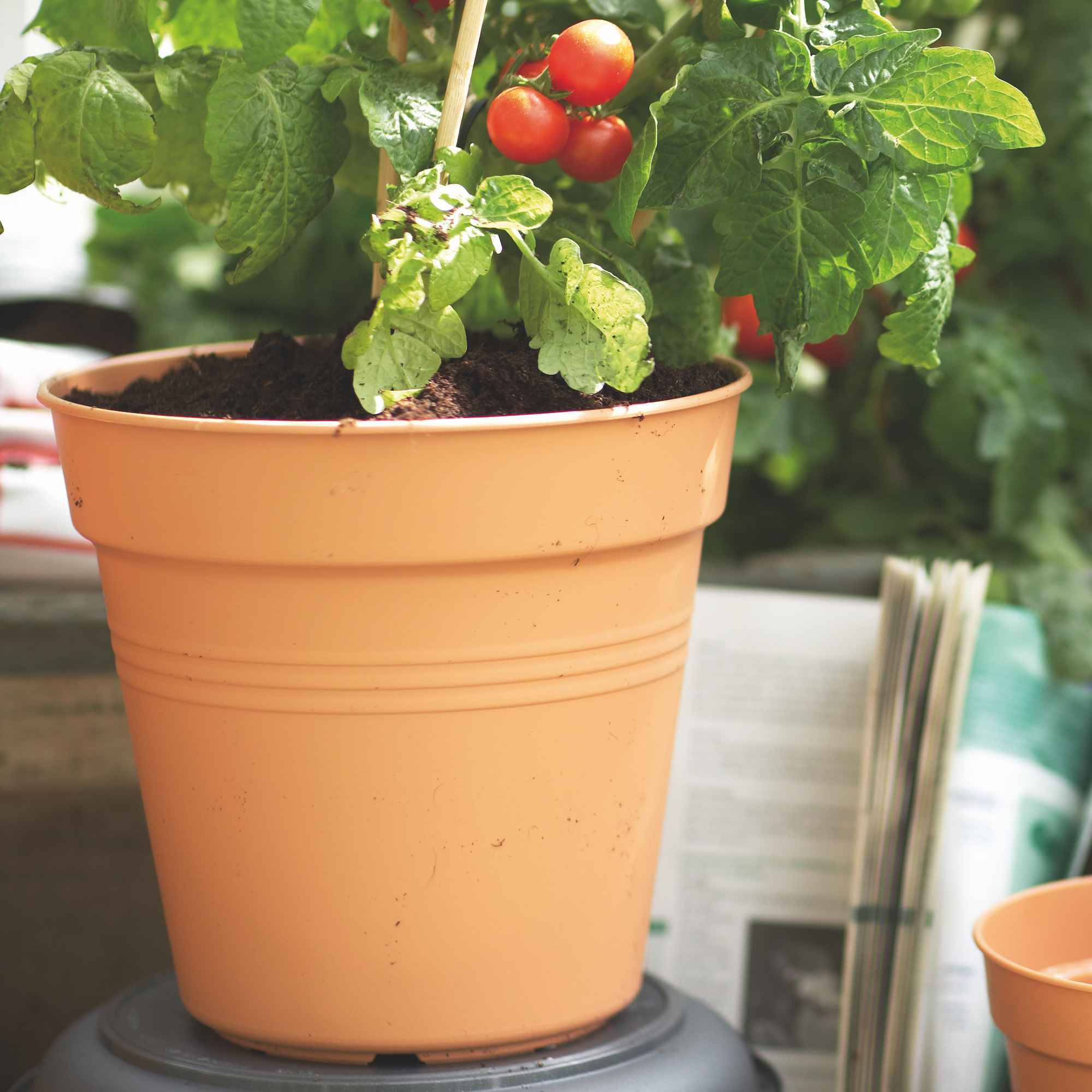 8711904106454_2.jpg 2e7ecb8b5f24fcd2ee0ddde612a72e10