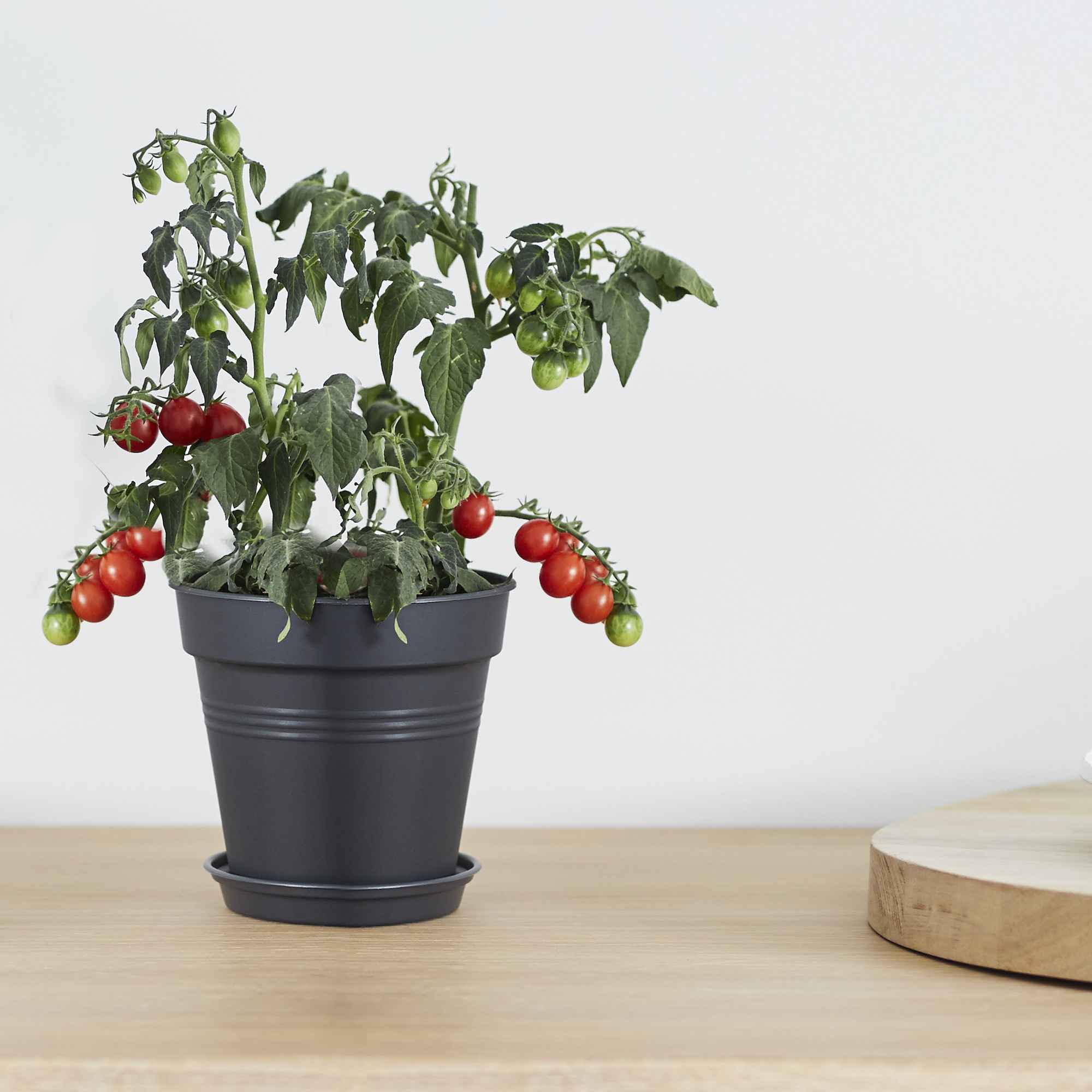 82636f79fb32d12921f3383e8cd887be