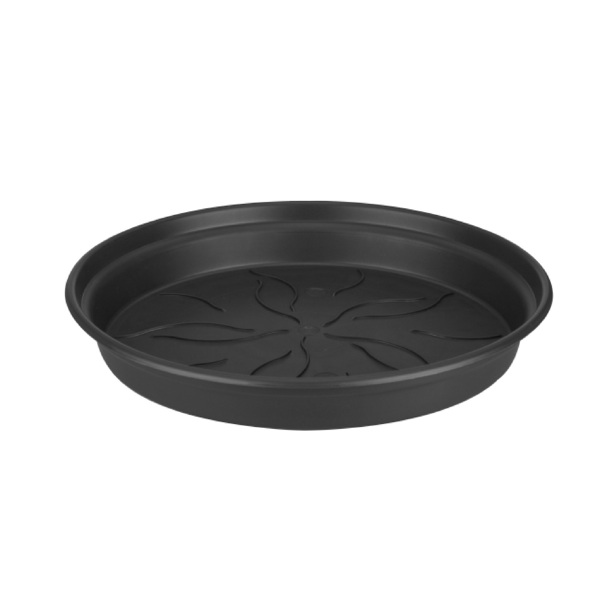 green basics saucer 22cm living black