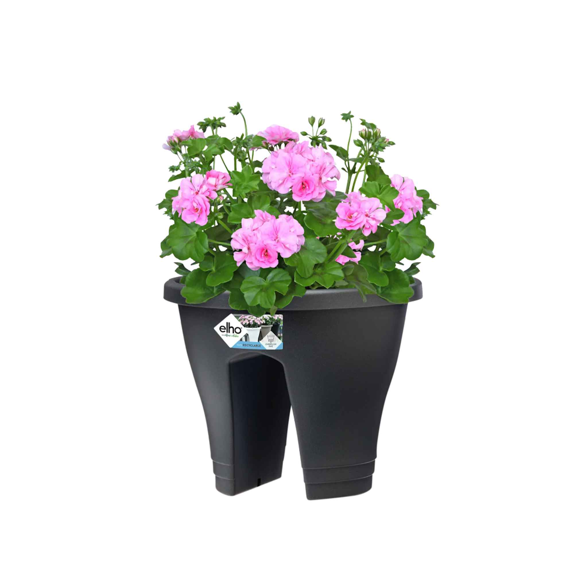 8711904119348_4.jpg 5c8204c57bd86f437c52676143eff67a