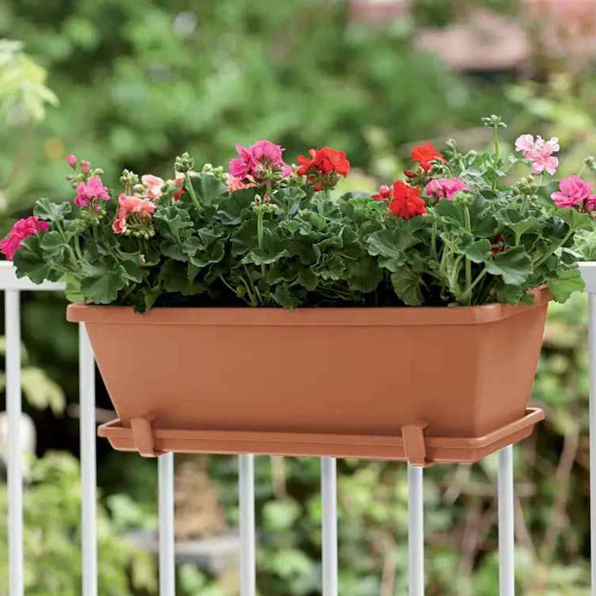 8711904121129_3.jpg 5d38bb4fd776101f28d7d59494b6c93b