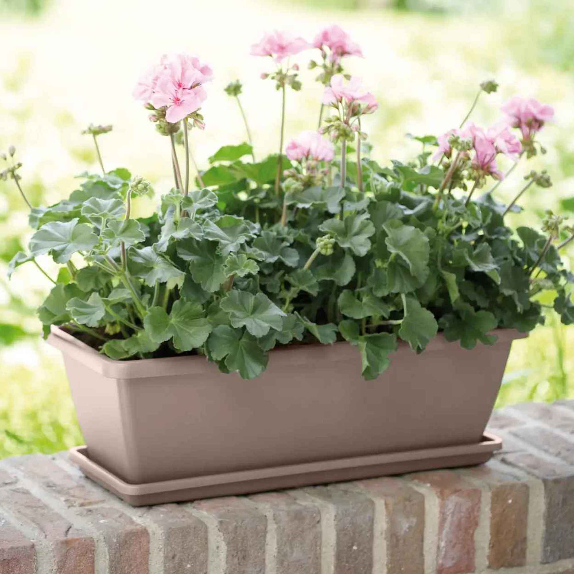 8711904121167_2.jpg 3b37631551363b2e81f0da372cc6f748