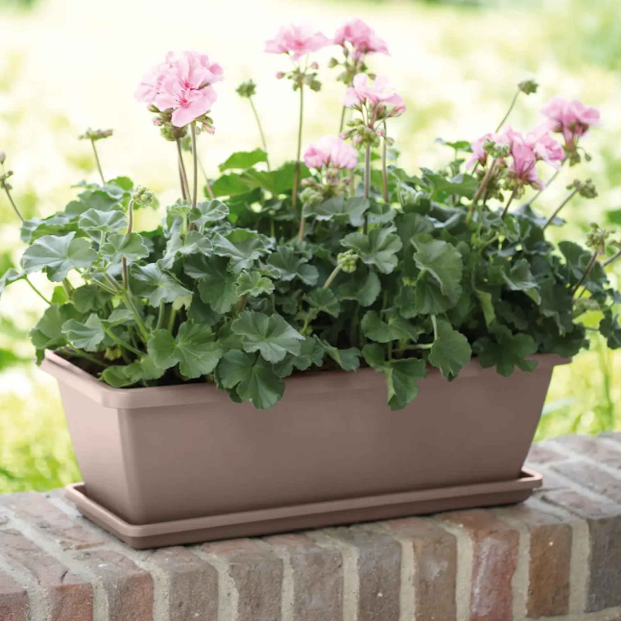 8711904121259_1.jpg a20ee90ebde54a00a9fa5f0e46f39fbd