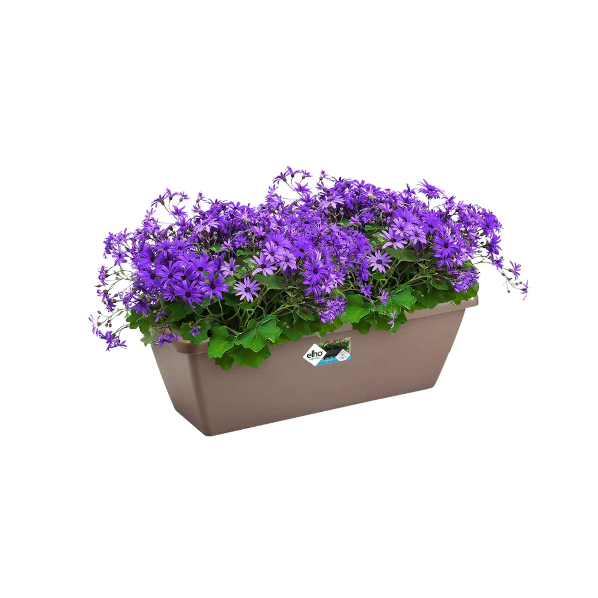 8711904121259_4.jpg d203a0d009dd0a1d0c2df144dd45a8fc