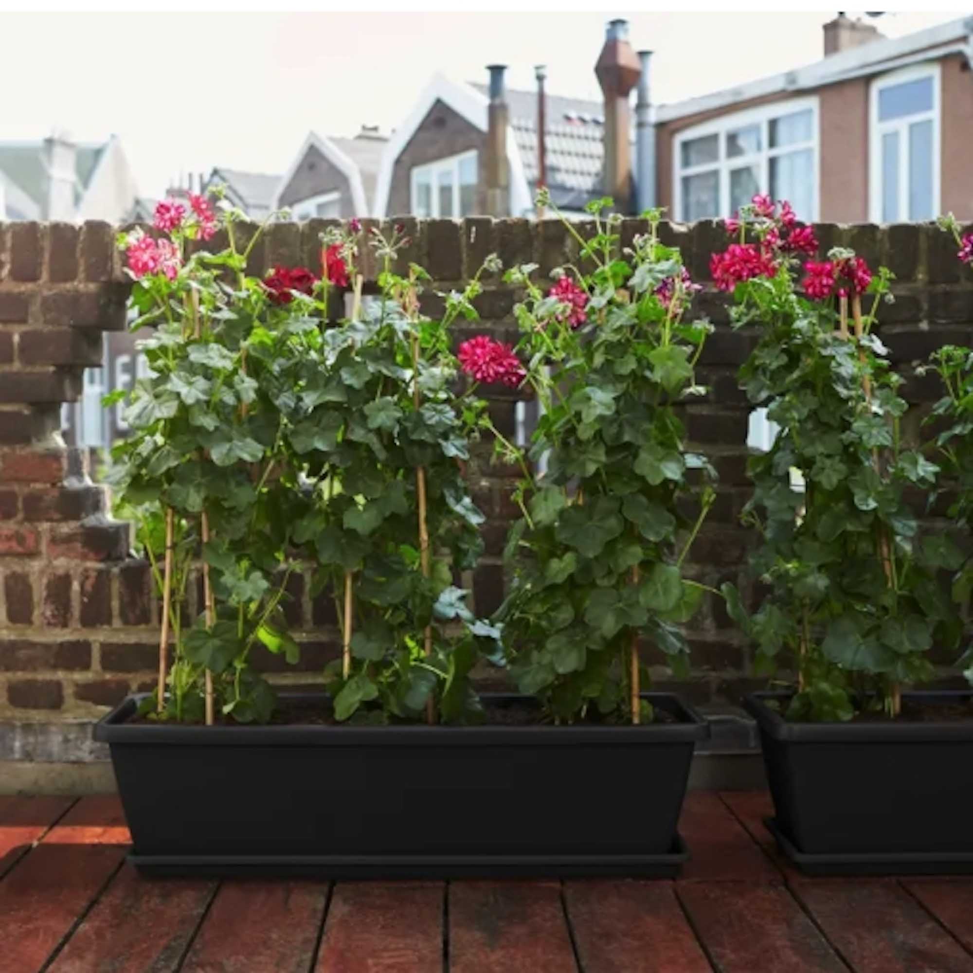 cc5625296c603abc65e069ae990f219b