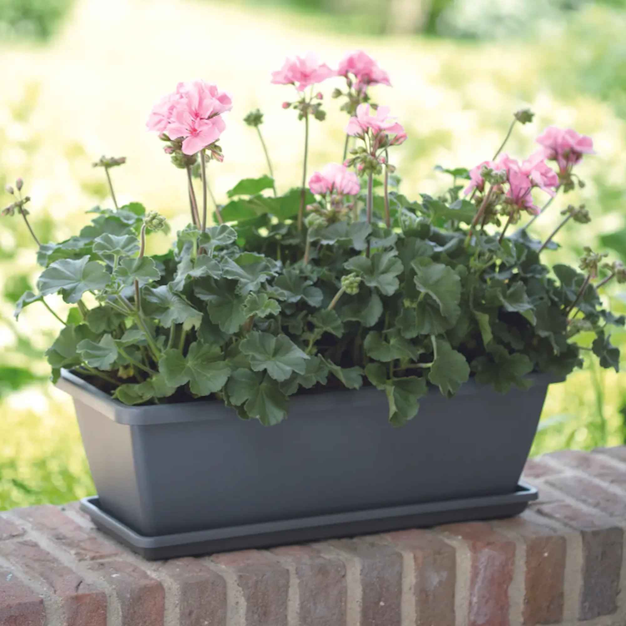 9a9181313cfaaf5dc32091c72295be92