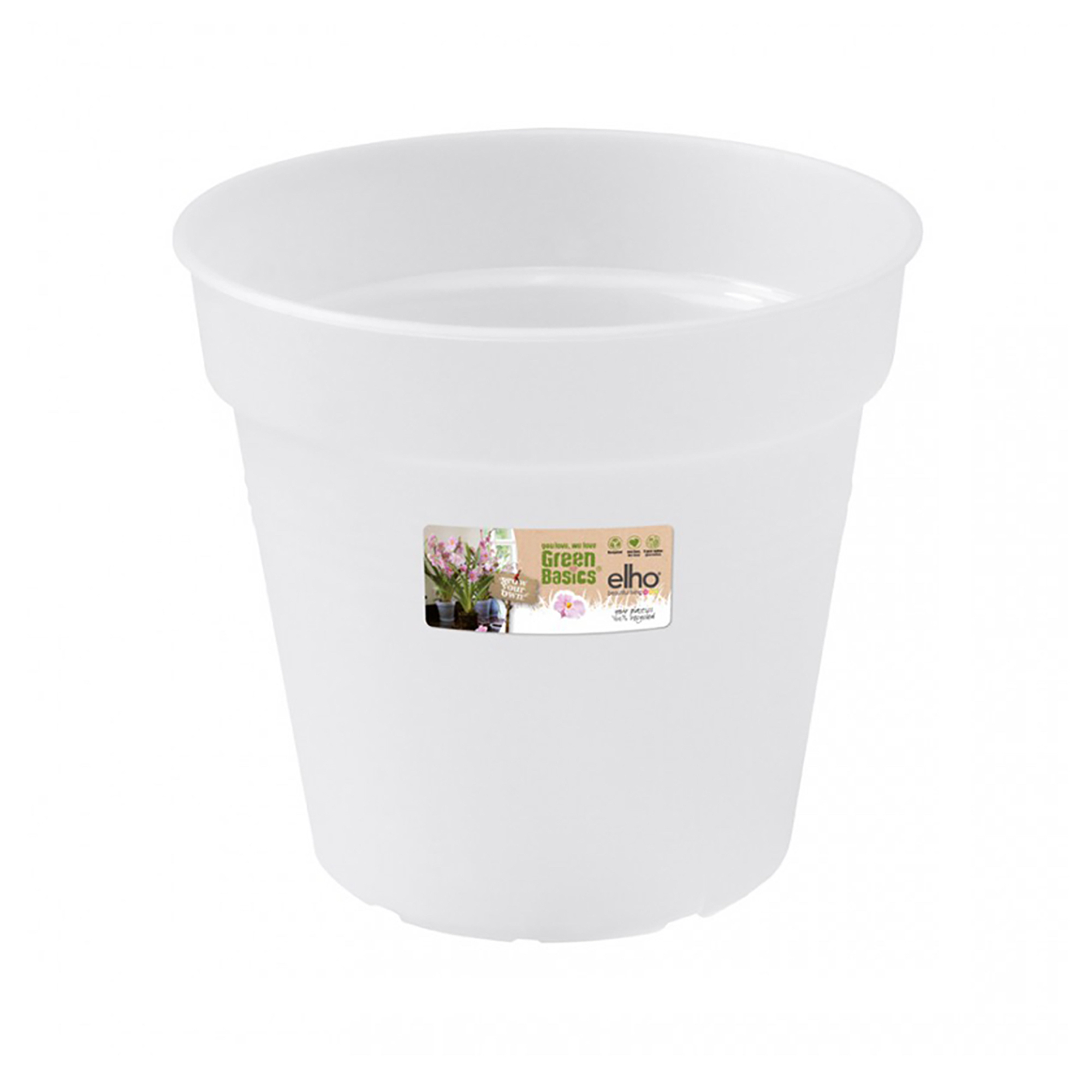 green basics orchid 15cm transparent