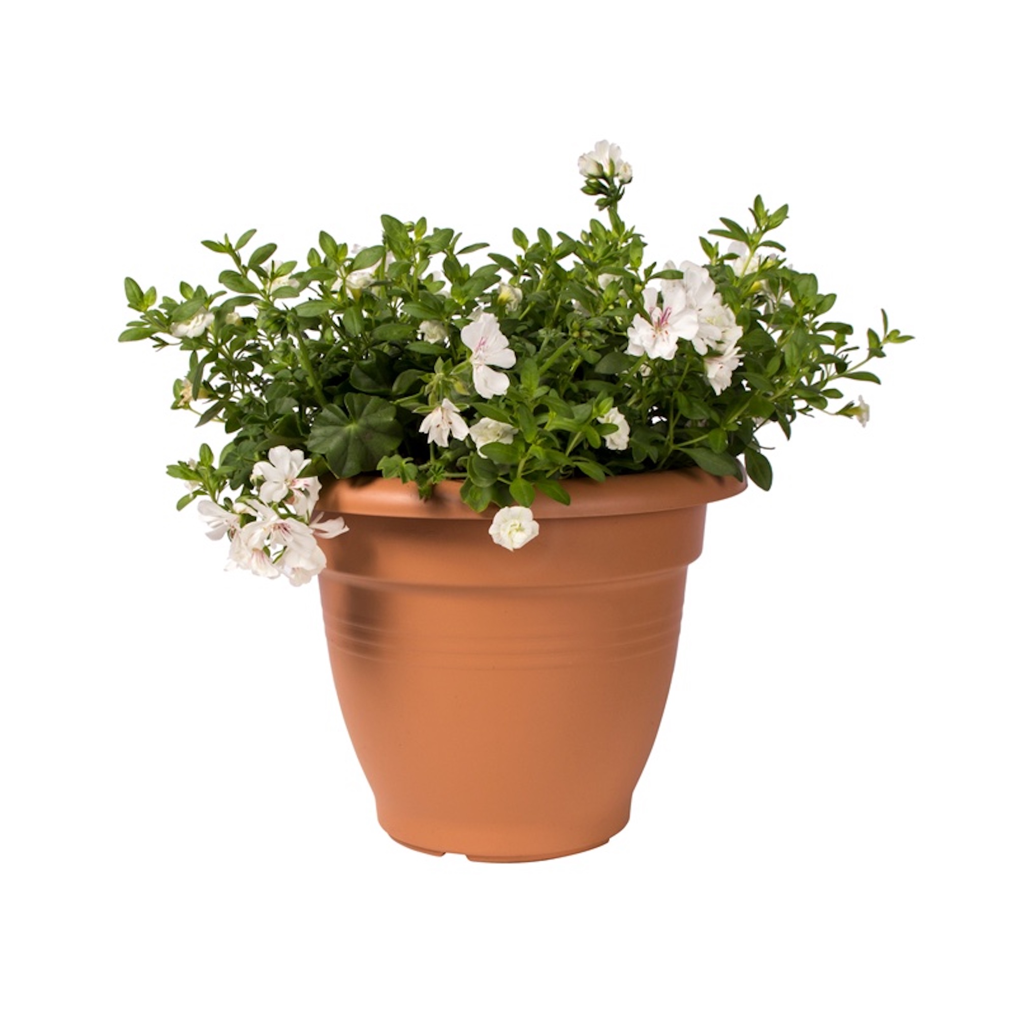 efda61a0925a9a03b88071050bf69391