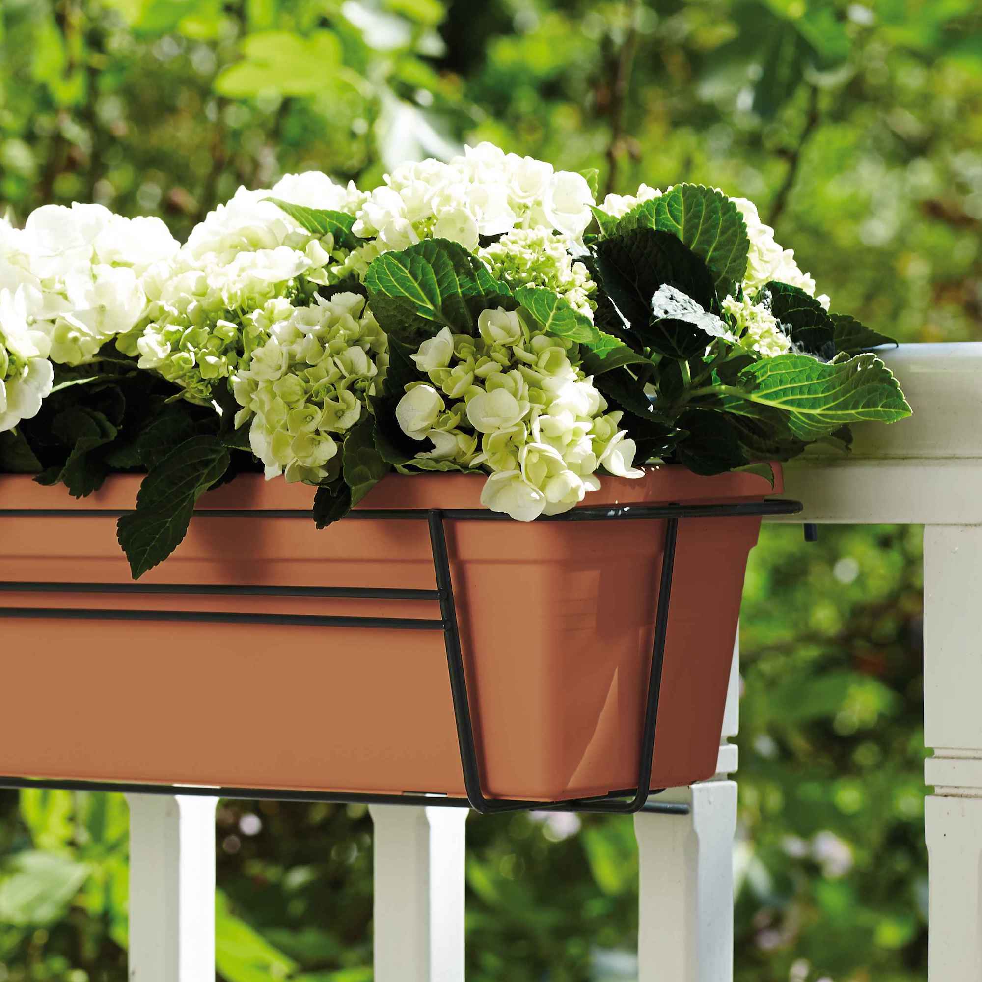 8711904135980_3.jpg bf5a0dfce05f3d39f66fb591cd437e21