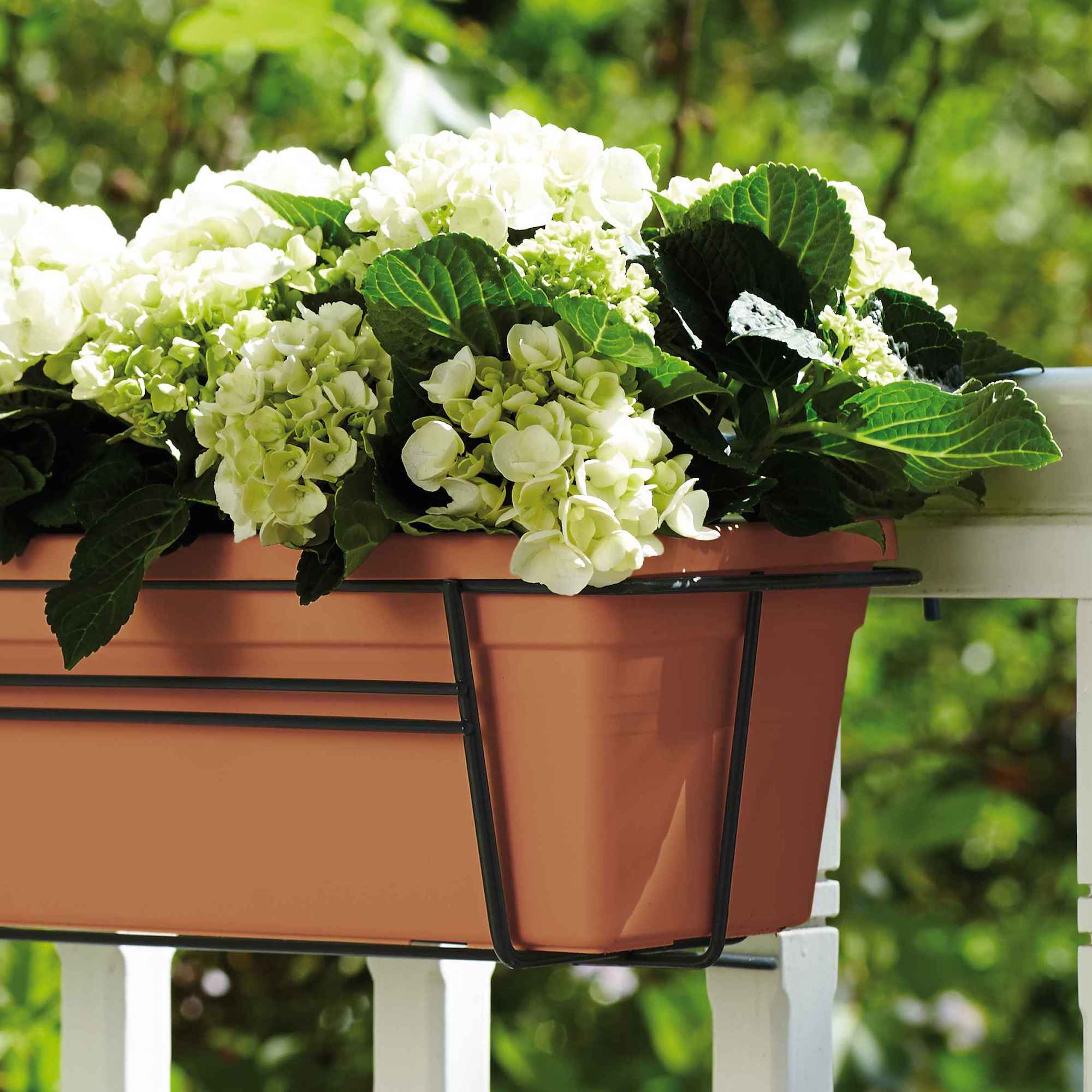 8711904136048_3.jpg af5f92d80c0b3749938c1b38850b44b6