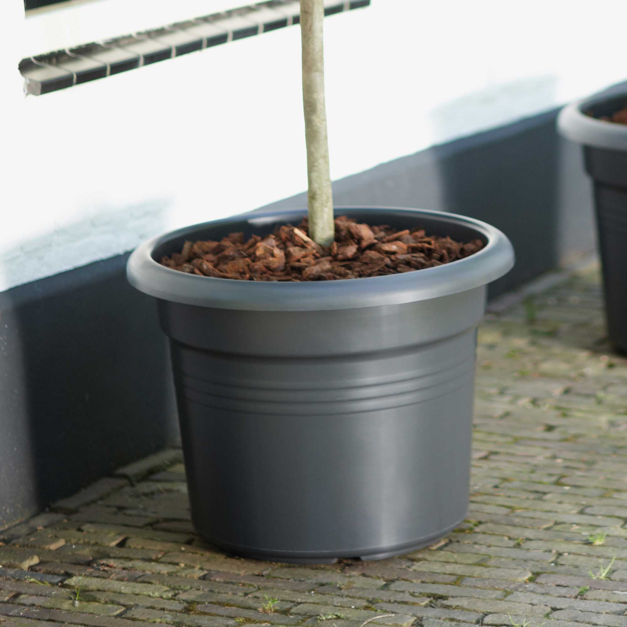 a86956d1bd9065e4351d8de84865800c