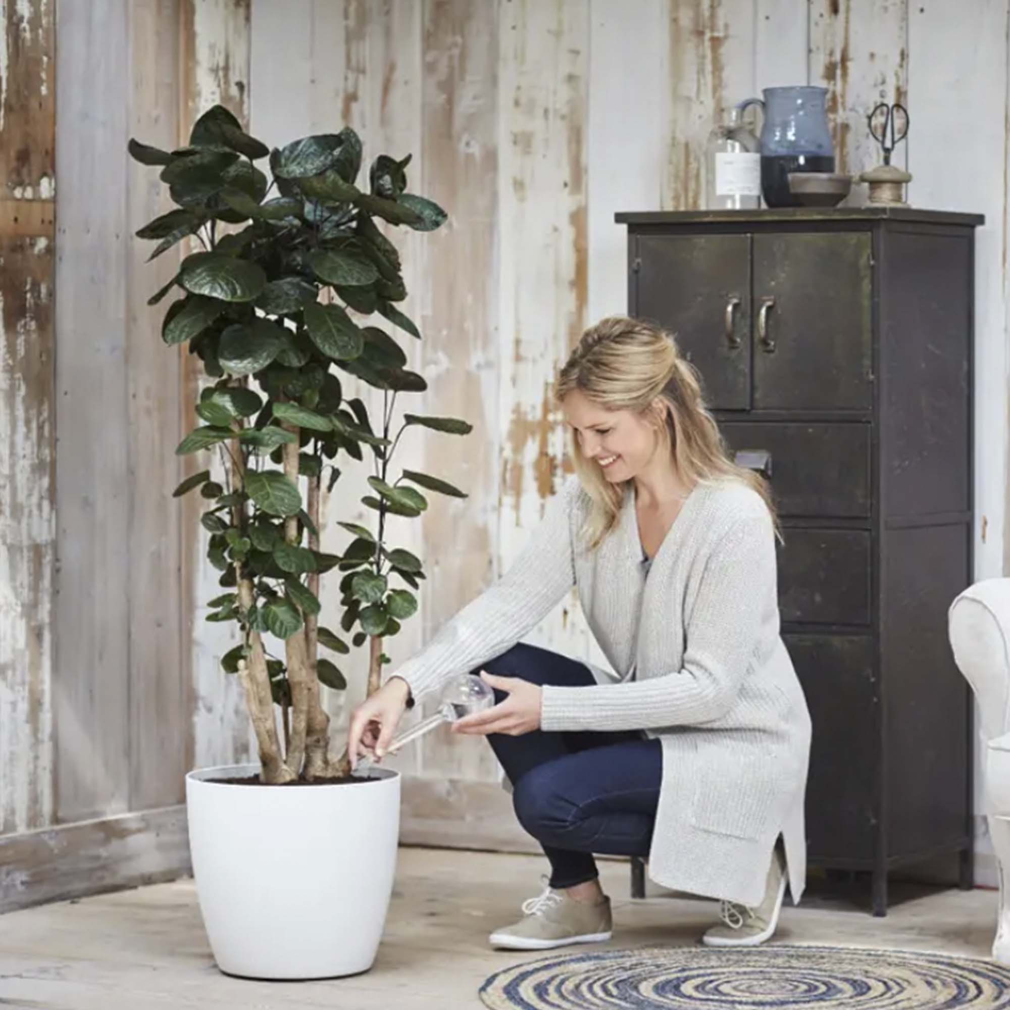 8711904148973_4.jpg 2c6b028caec0b4725ab8fd4f62f8b0ad