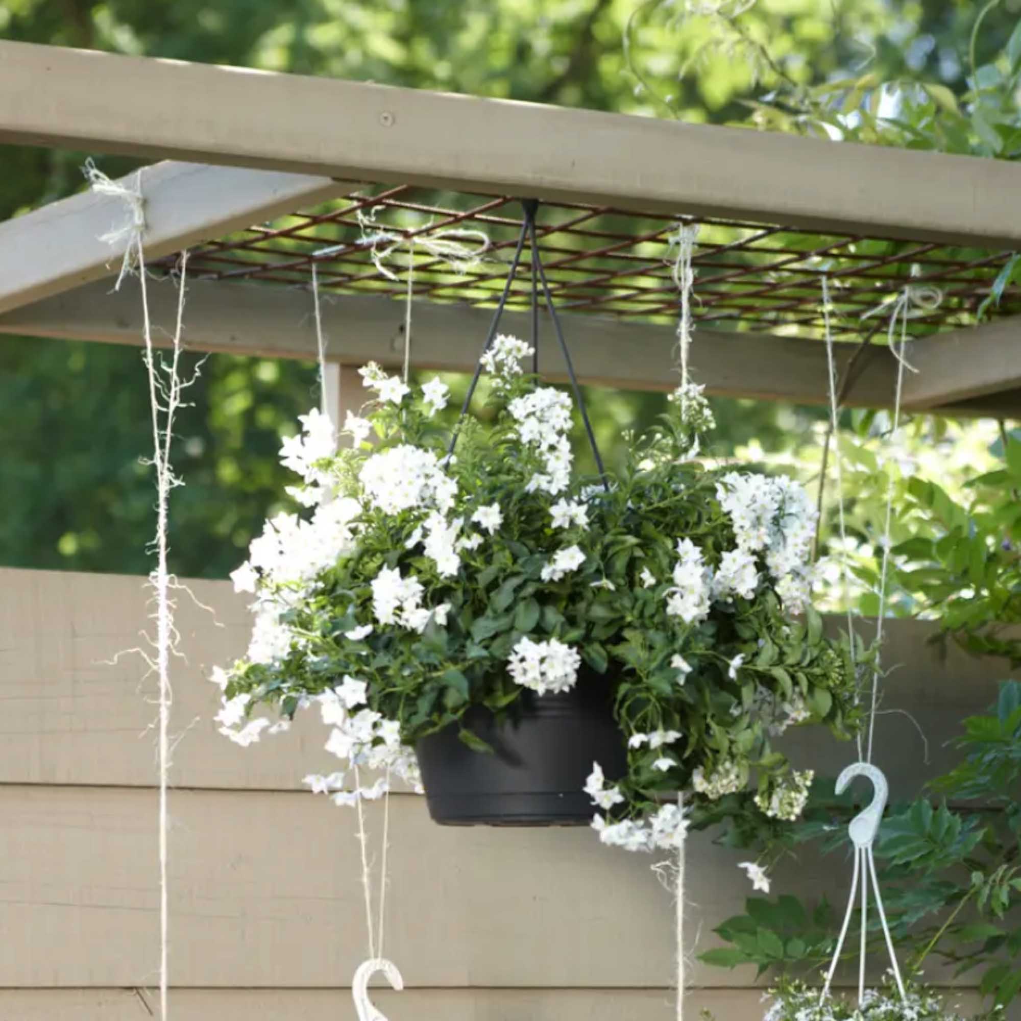 7150c7bd464eca06e827b93be2ee695c