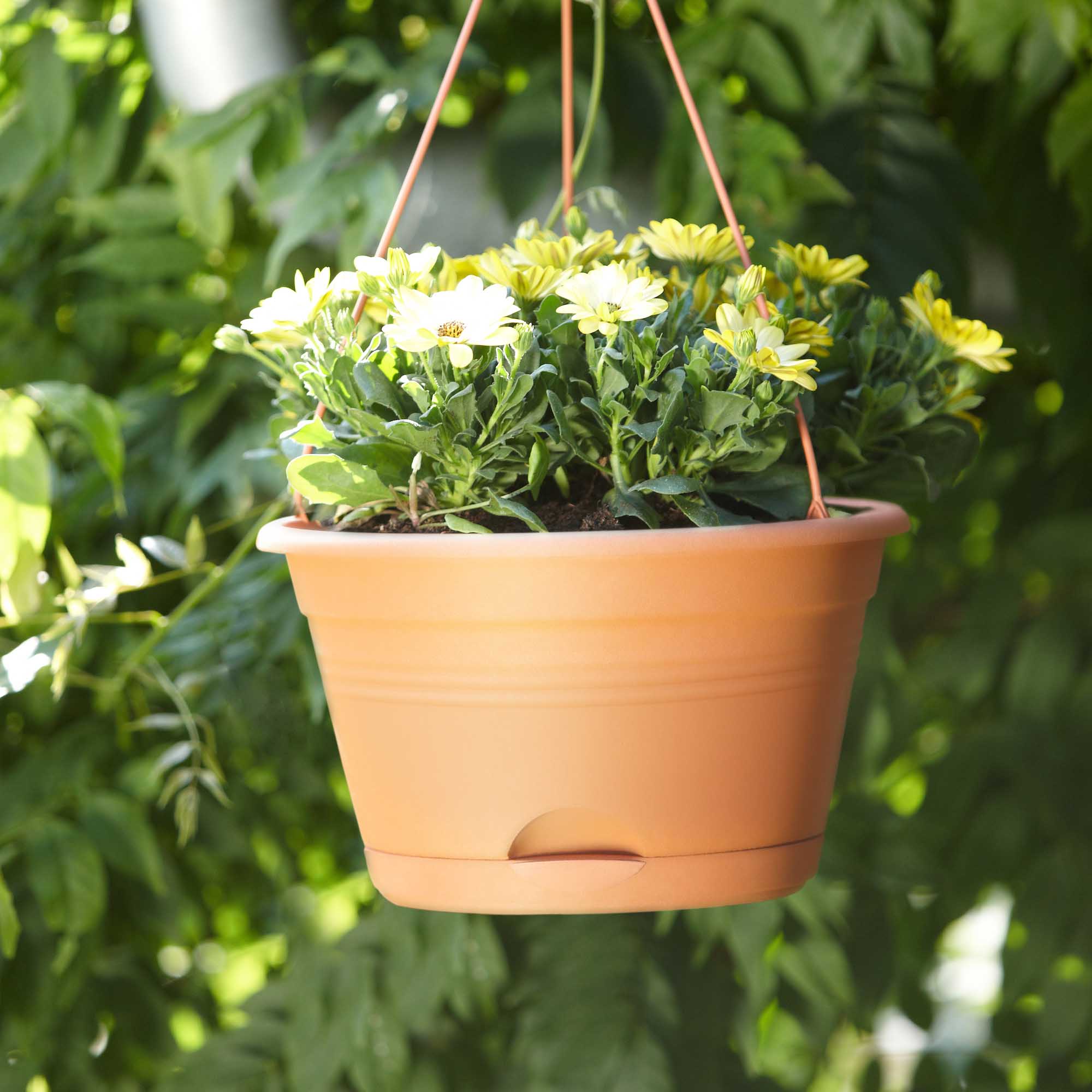 8711904150730_3.jpg 188c5e8b3f3e761f146a86bfbf4c4851