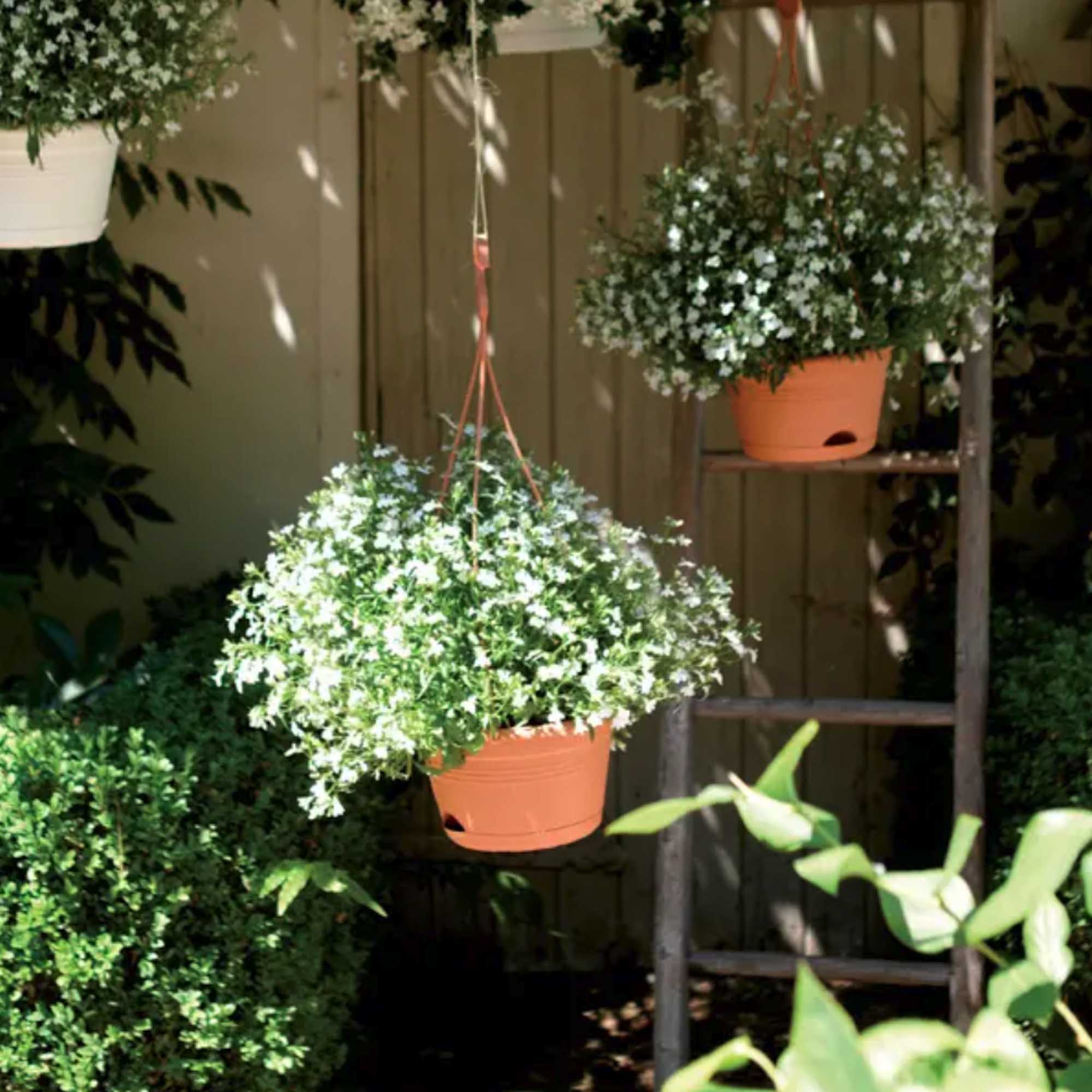 Screenshot 7e75d8b4068ee27af2995ecc08f303db