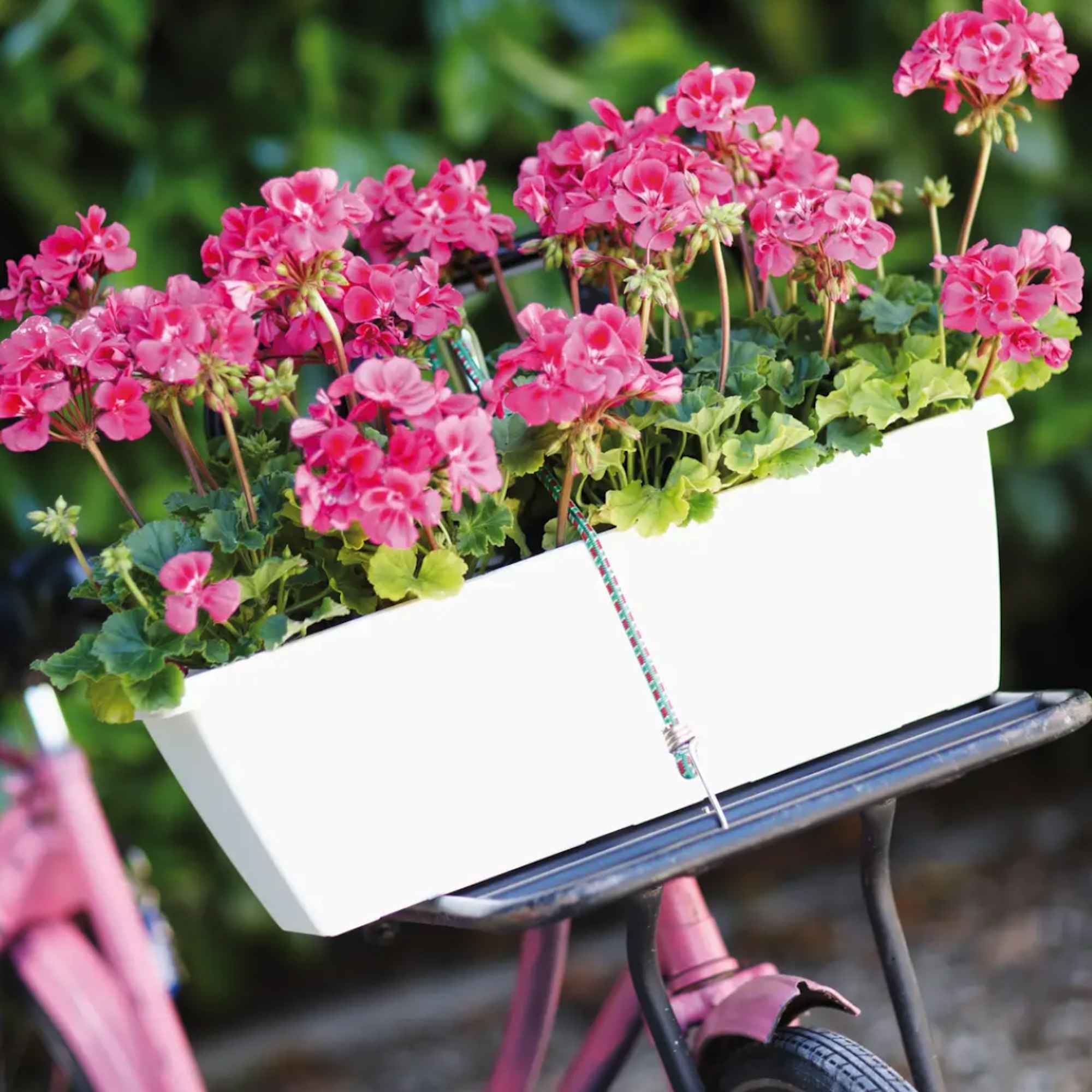 8711904154134_1.jpg 77154b0862acb8c717c6644cb8060eae