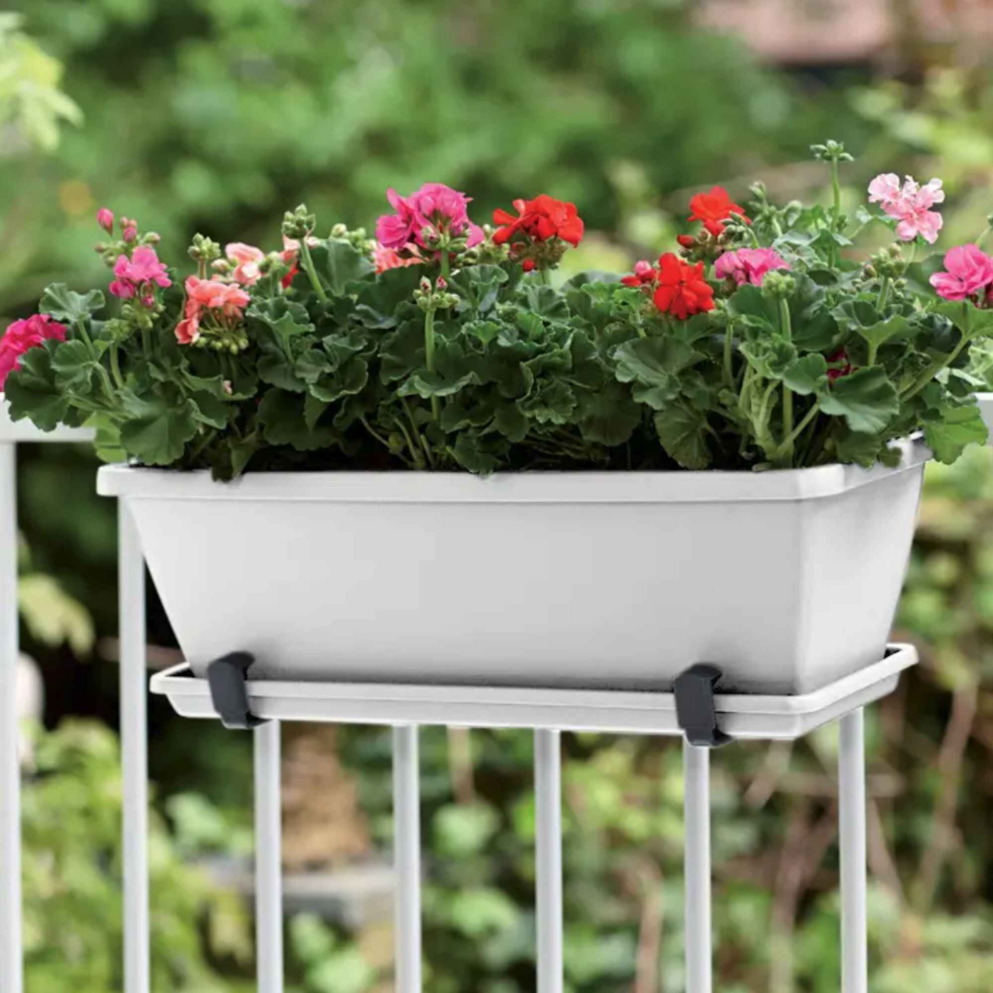 8711904154134_3.jpg 17f645ed1111cd995ca8ec720f364af3