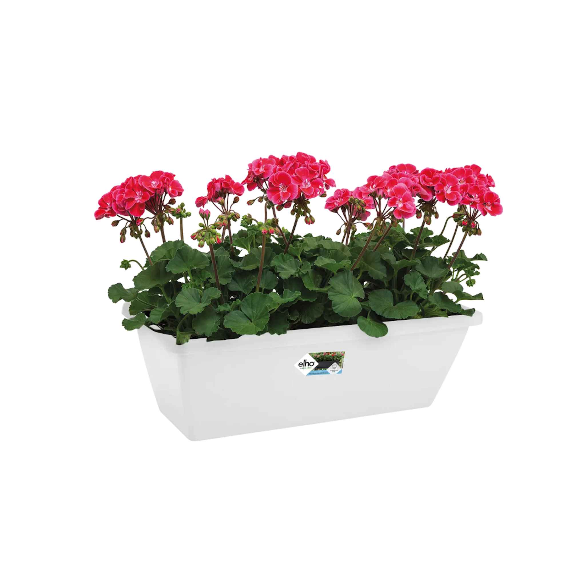 8711904154134_4.jpg ca6a30d987426f8aa2ebb84295920b93