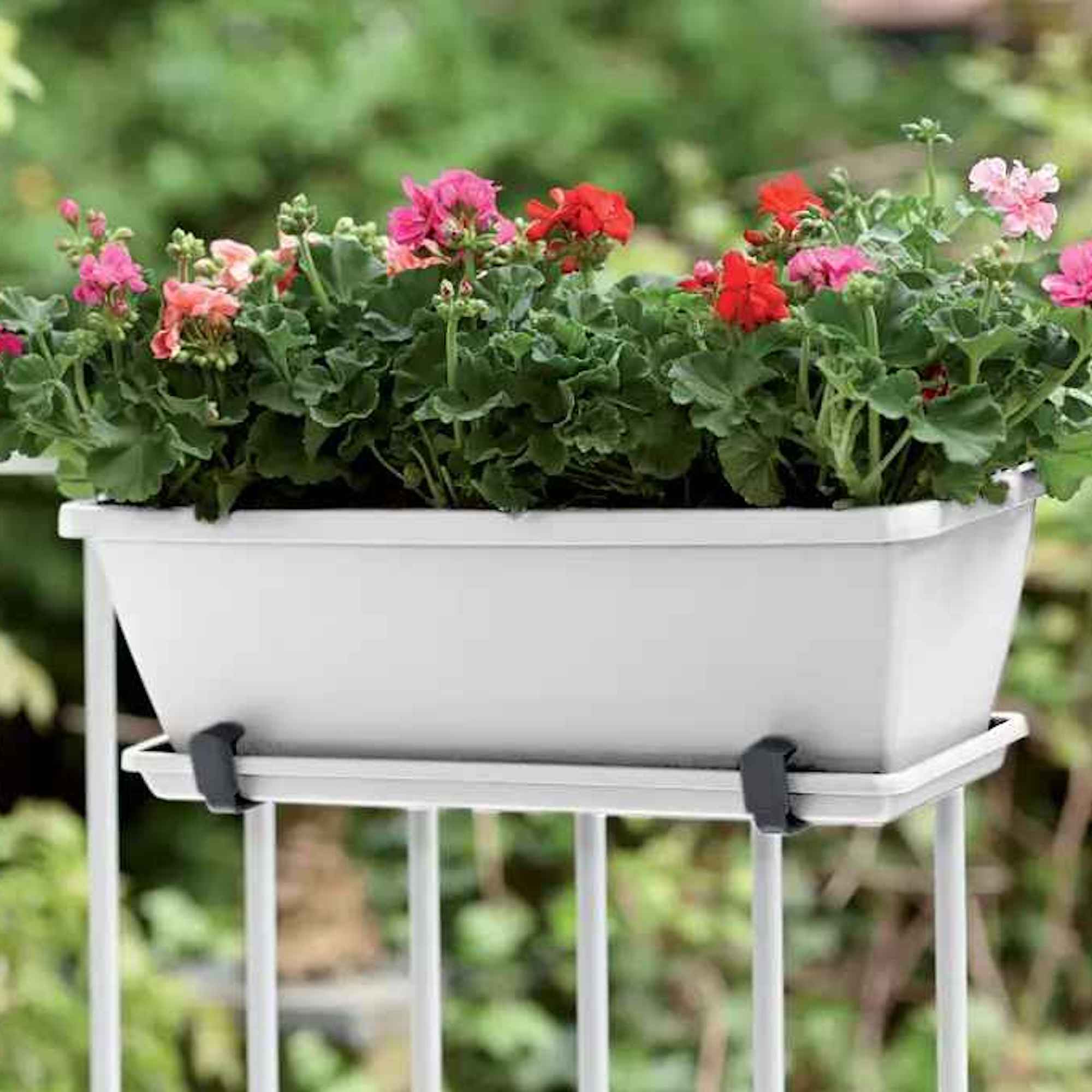 8711904154370_2.jpg cd8a8e7b9bb95e600e5de86eda38d16c