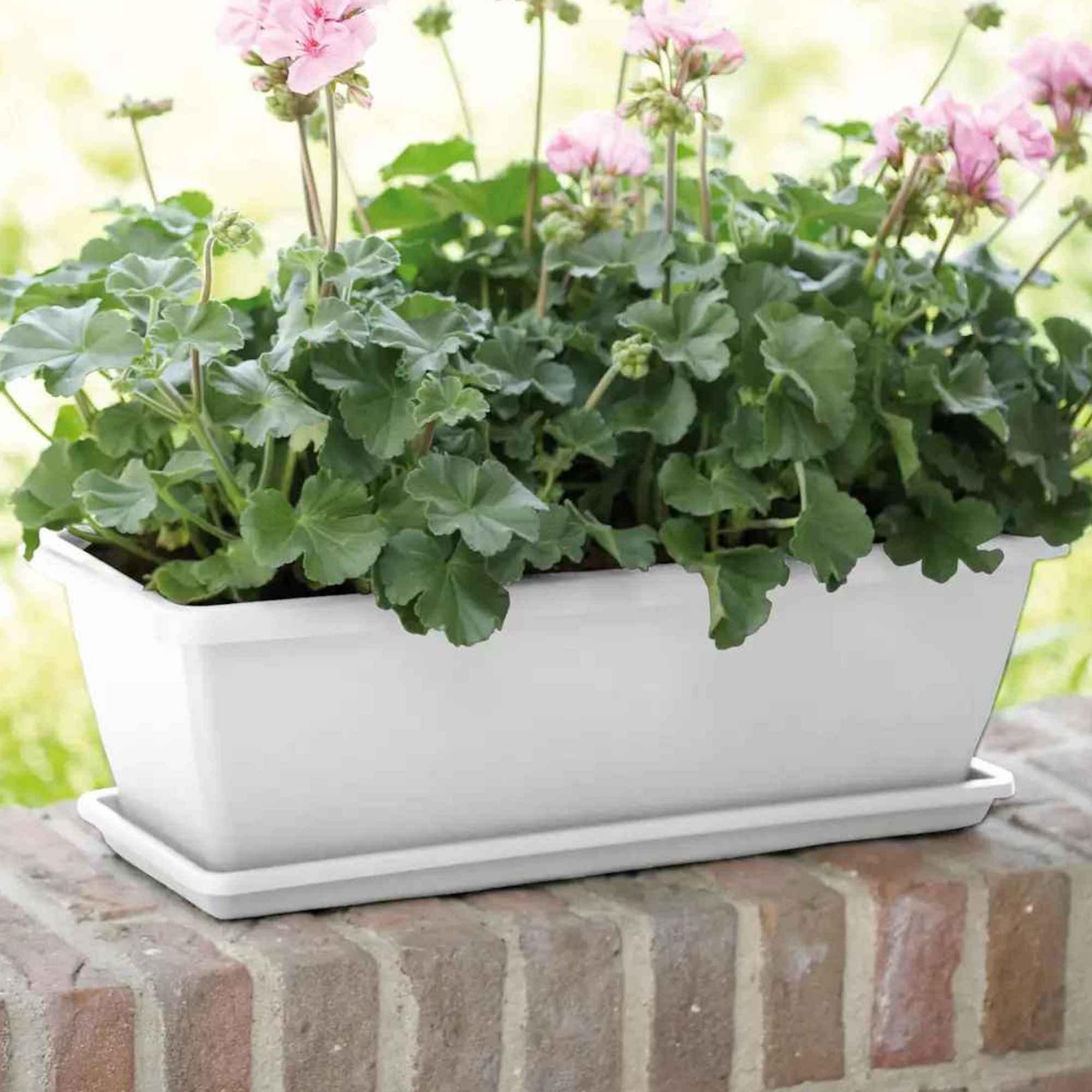 8711904154370_3.jpg f1a8905da082892140b8c22d76a47536