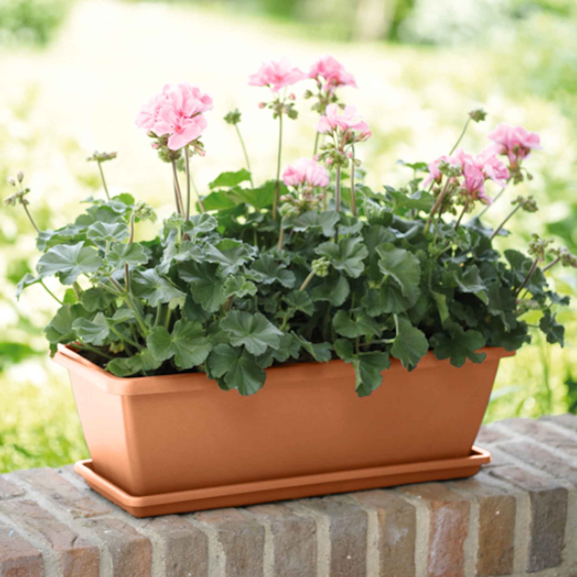 b48bf5dbacd50158f579c4f3f21ceba4