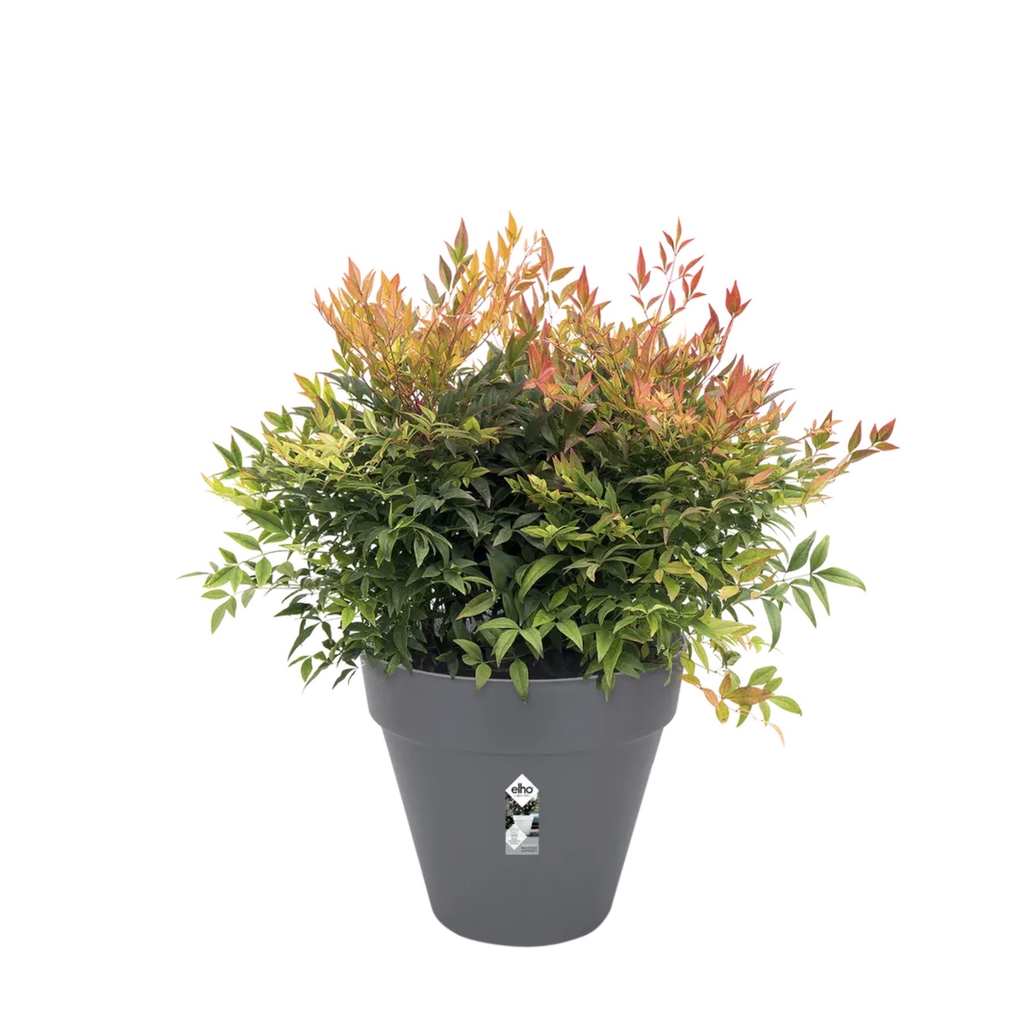 Screenshot 3a19a15cb5ab9fc0dbf6632528d1777a