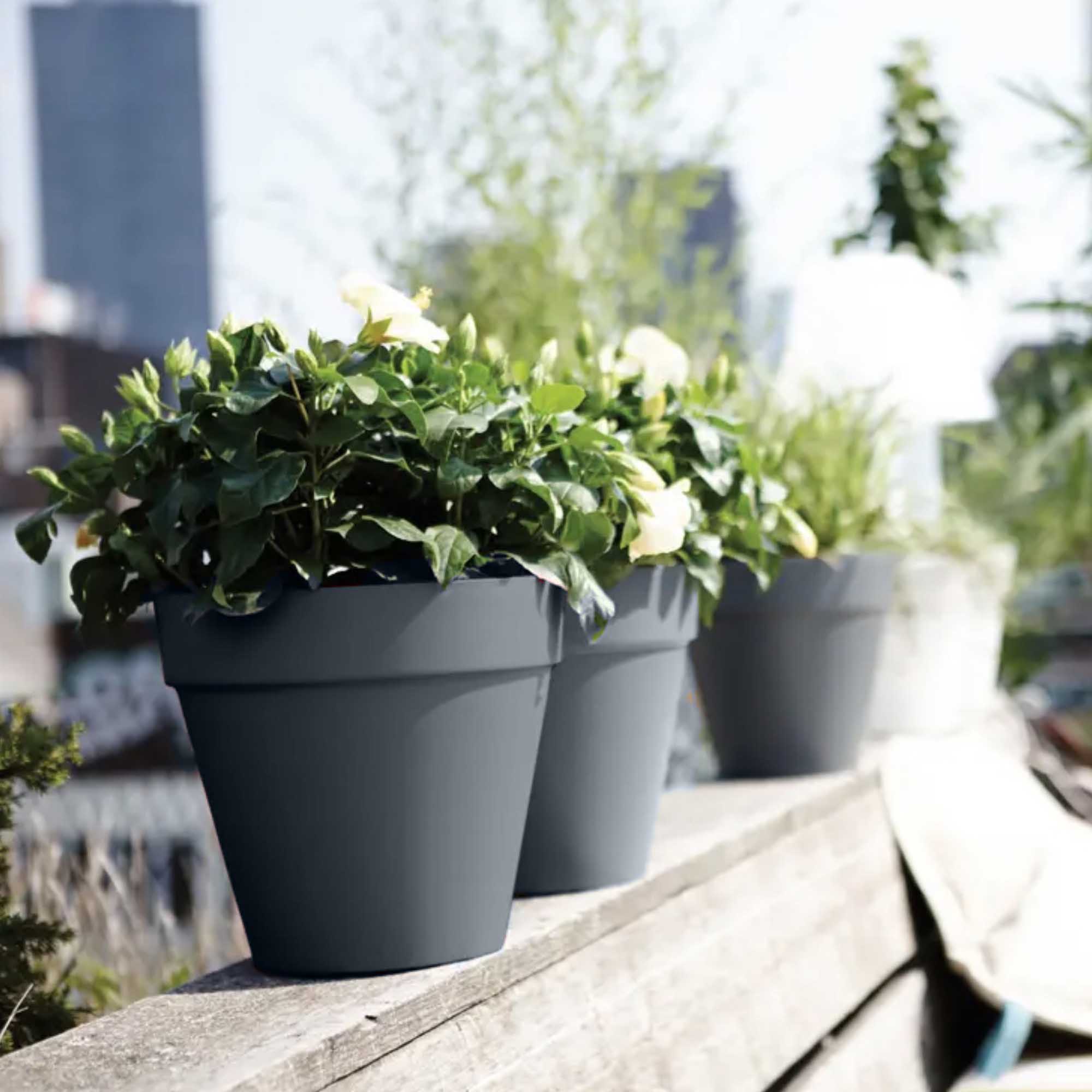 Screenshot 5ded3de73b57e215b17c73b58d124957